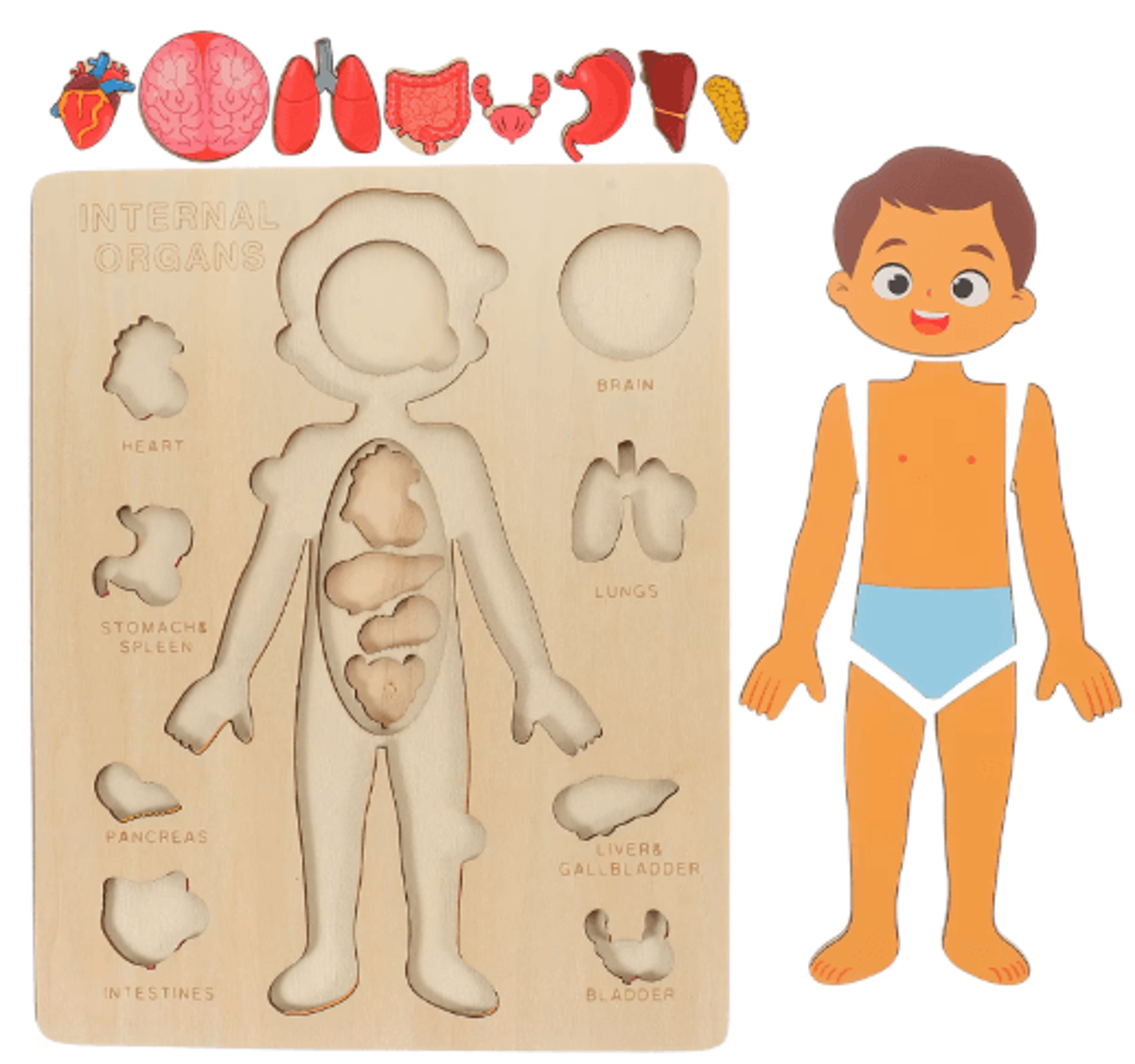 Montessori Human Body Busy Board  Educational Puzzle  Body Parts Learning Toy For Toddlers 6