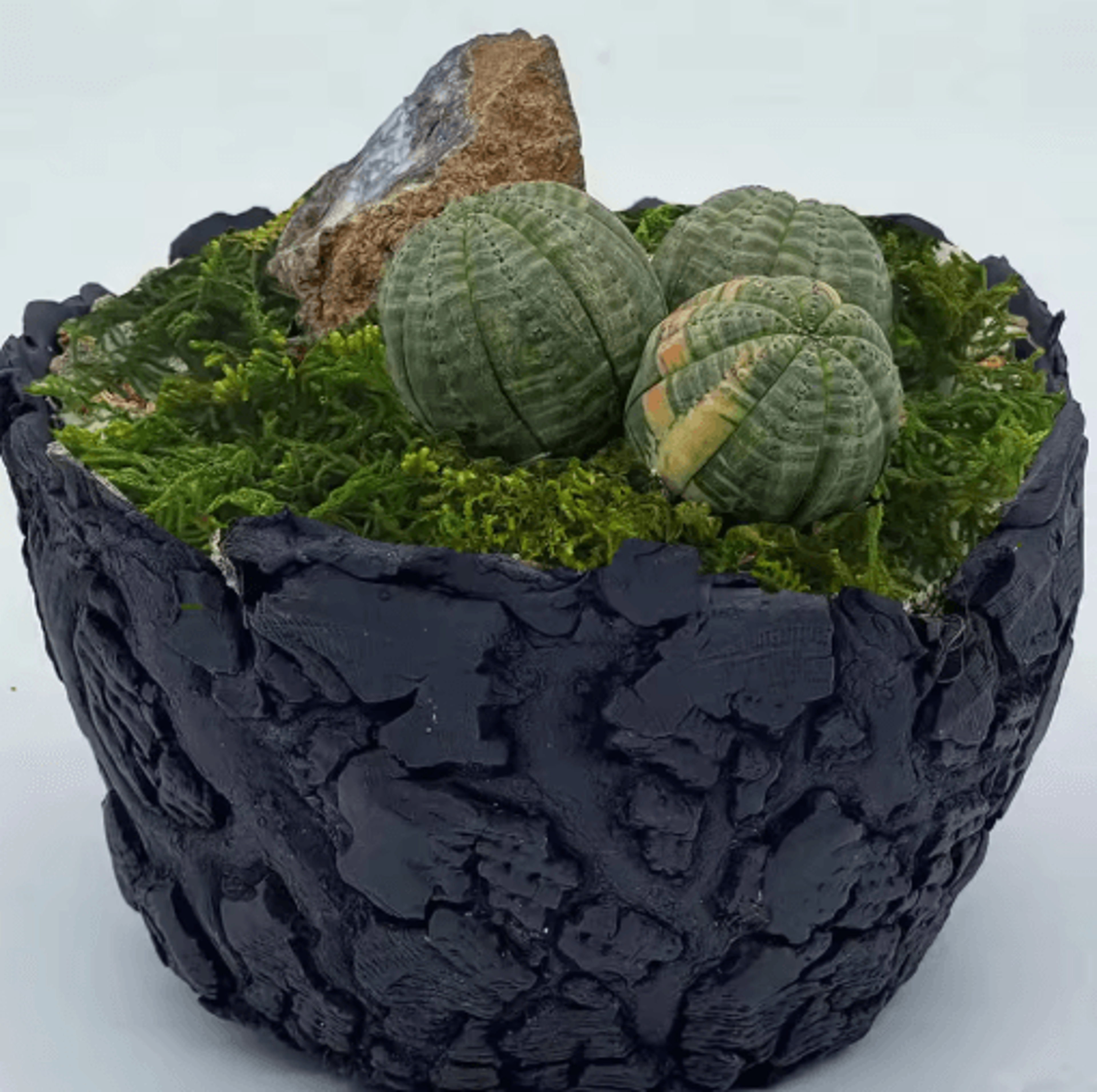 Artificial Green Moss For Plants  Crafts Decorative Orchid Potting Moss And DIY Decor Fill 4