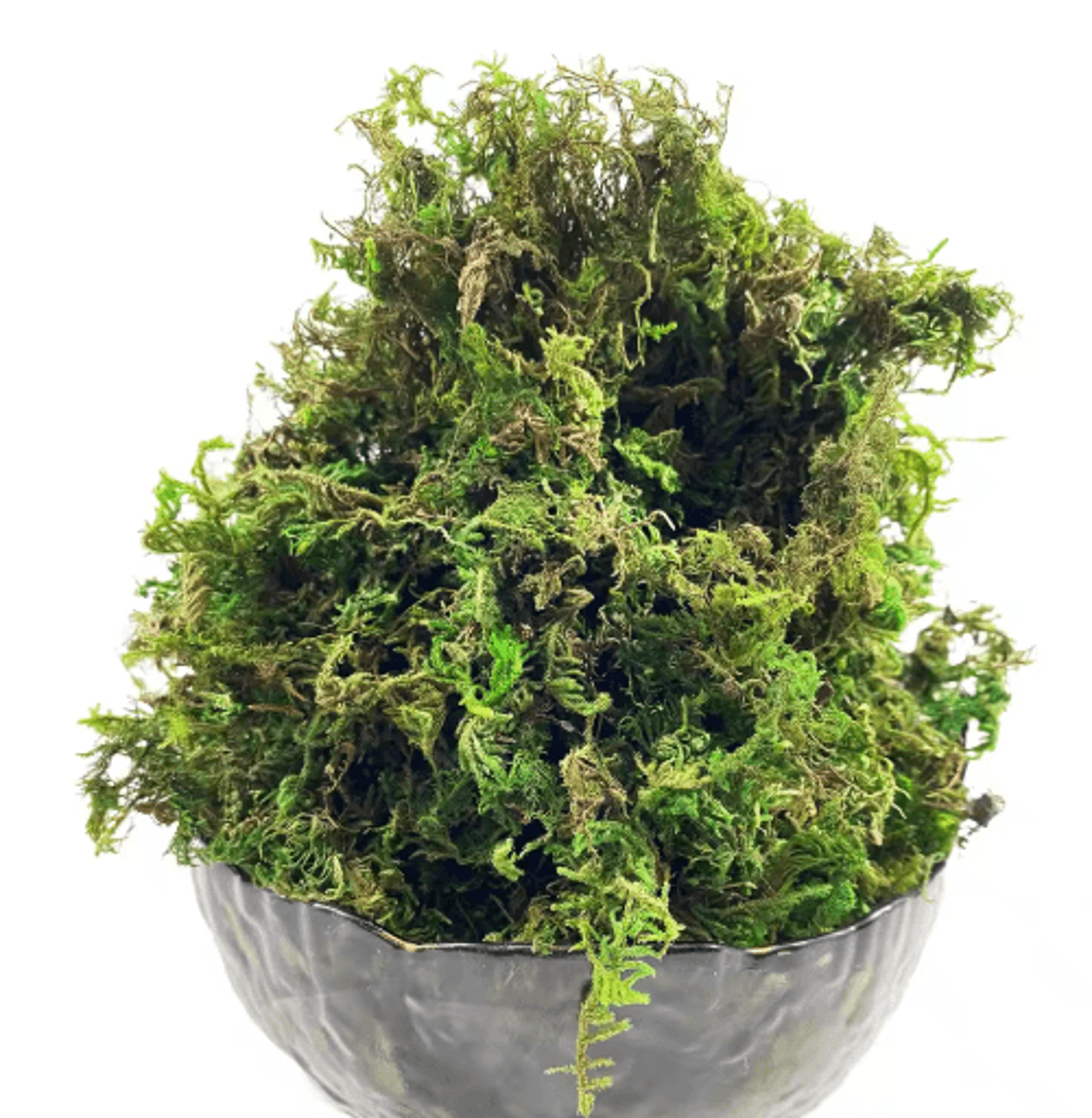 Artificial Green Moss For Plants  Crafts Decorative Orchid Potting Moss And DIY Decor Fill 6