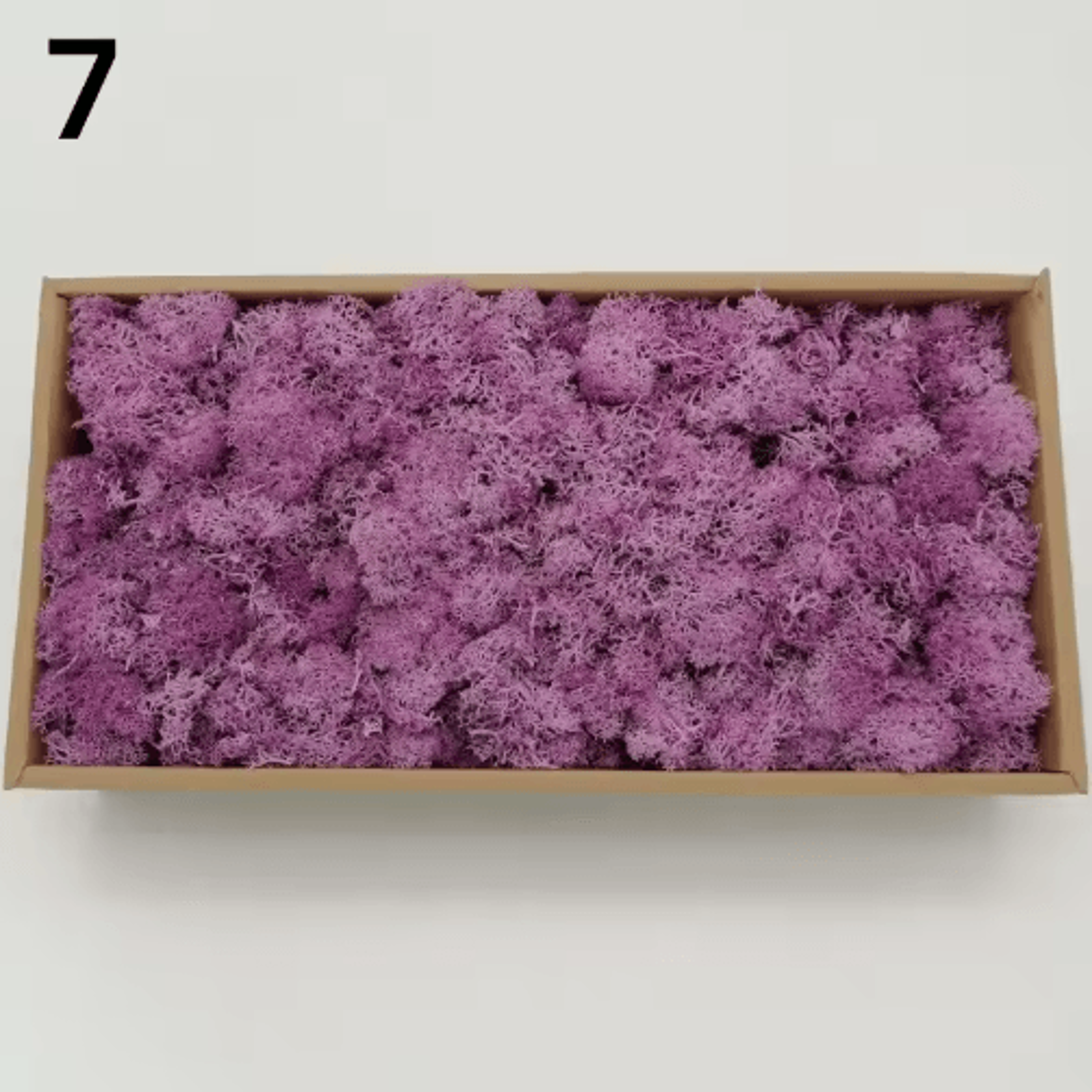 Artificial Moss Decor  Mini Landscape Fake Moss Grass For DIY Crafts  Home Decoration 13
