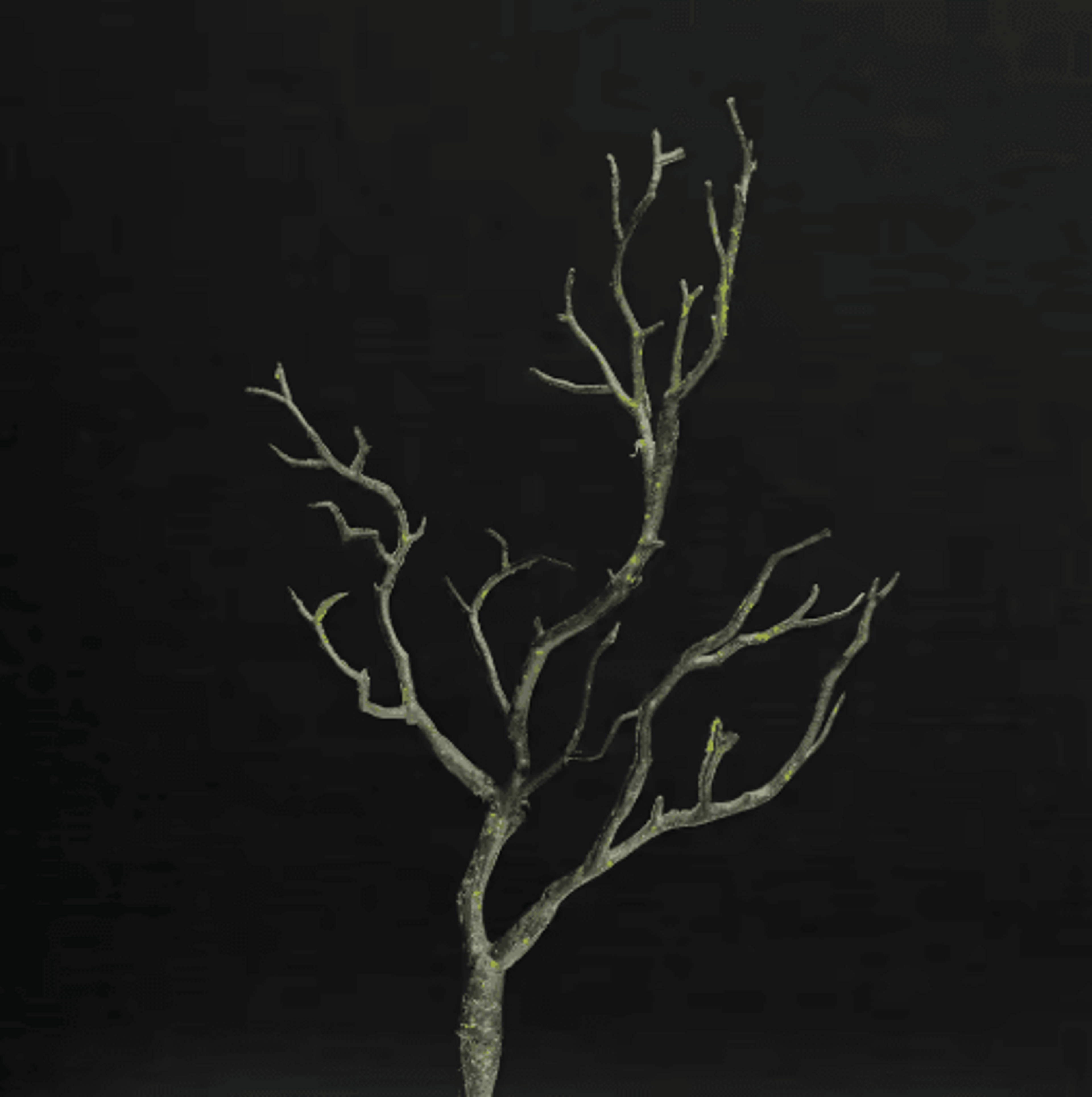 Artificial Antler Branch Decor  Rustic Winter Tree Stems For Wedding  Home Table Styling 2