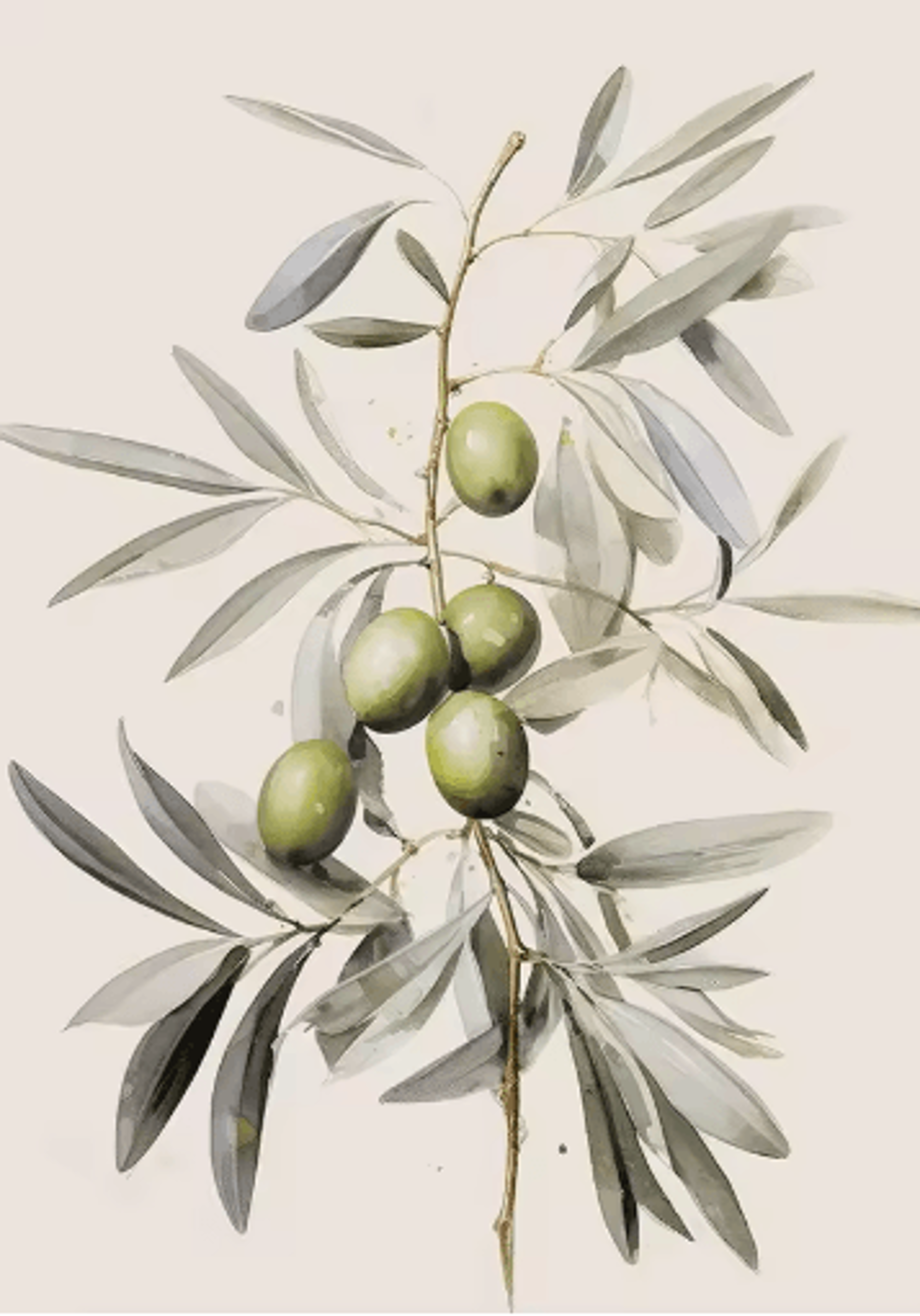 Retro Olive Tree  Lemon Canvas Wall Art Elegant Mediterranean Botanical Decor 4