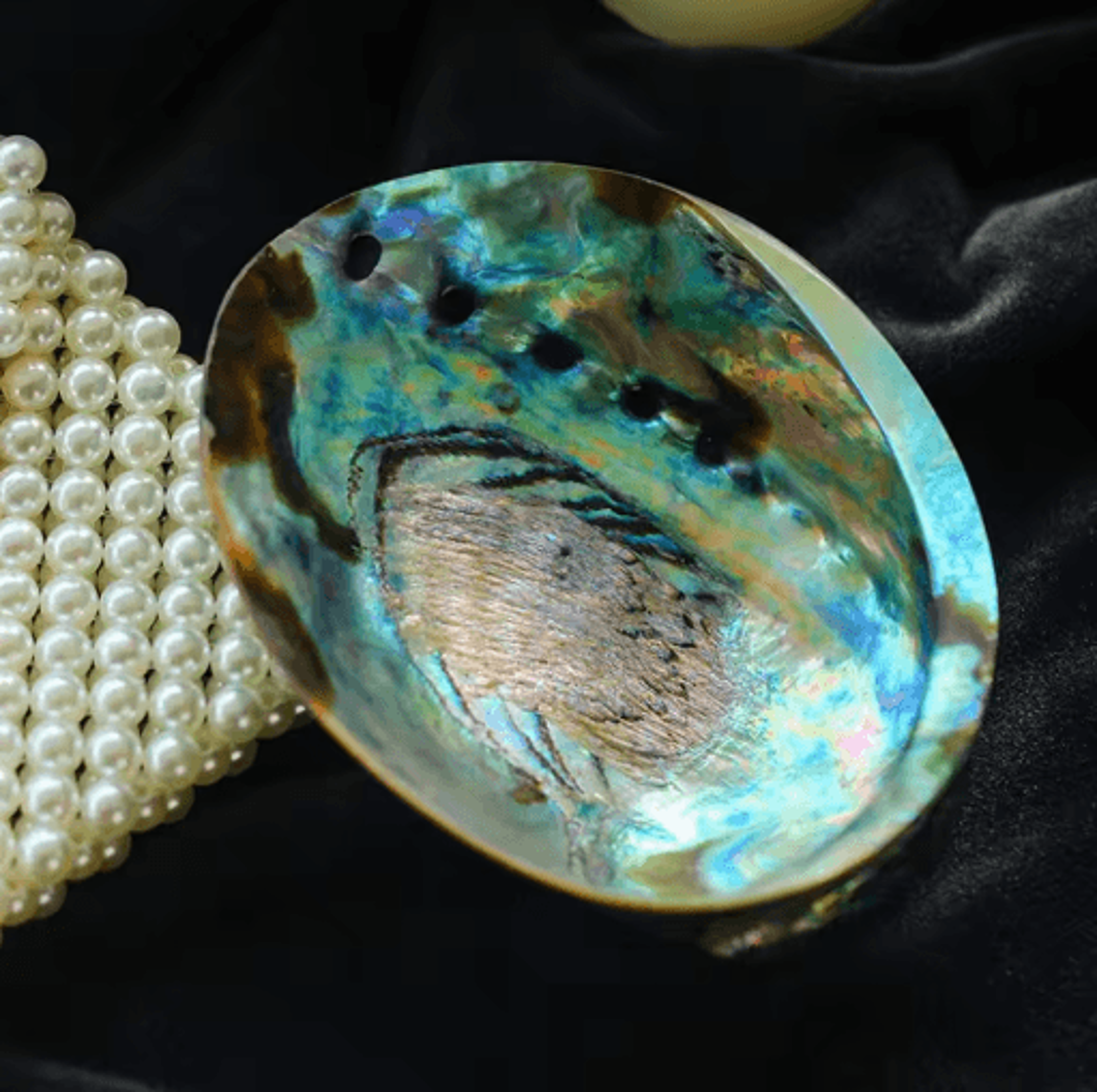 Paua Abalone Shell Smudge Kit With Stand Natural Sage Cleansing  Decor Set 12