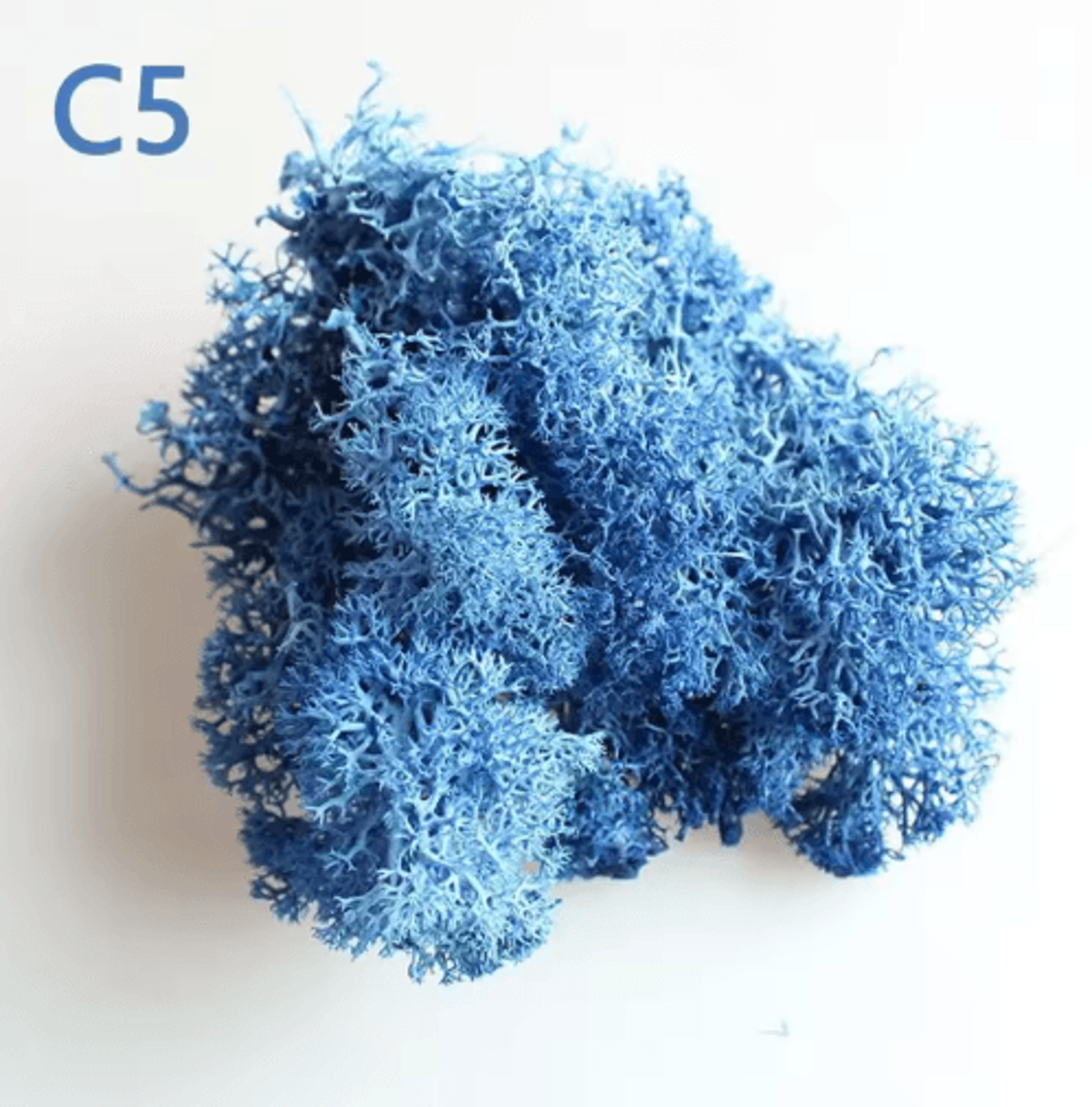Artificial Preserved Moss Decor Eternal Greenery For DIY Micro Landscape  Home Styling 15
