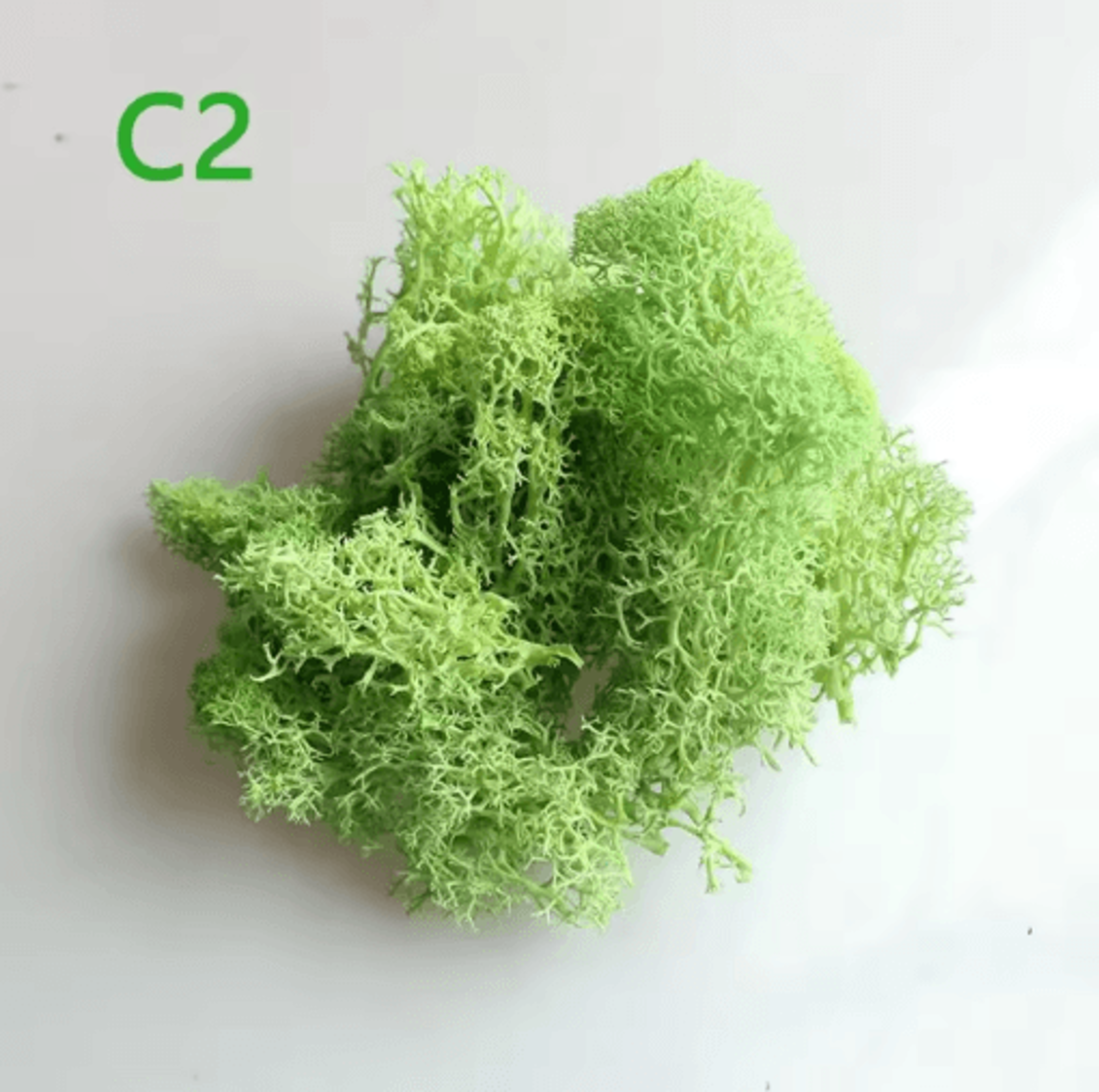 Artificial Preserved Moss Decor Eternal Greenery For DIY Micro Landscape  Home Styling 18