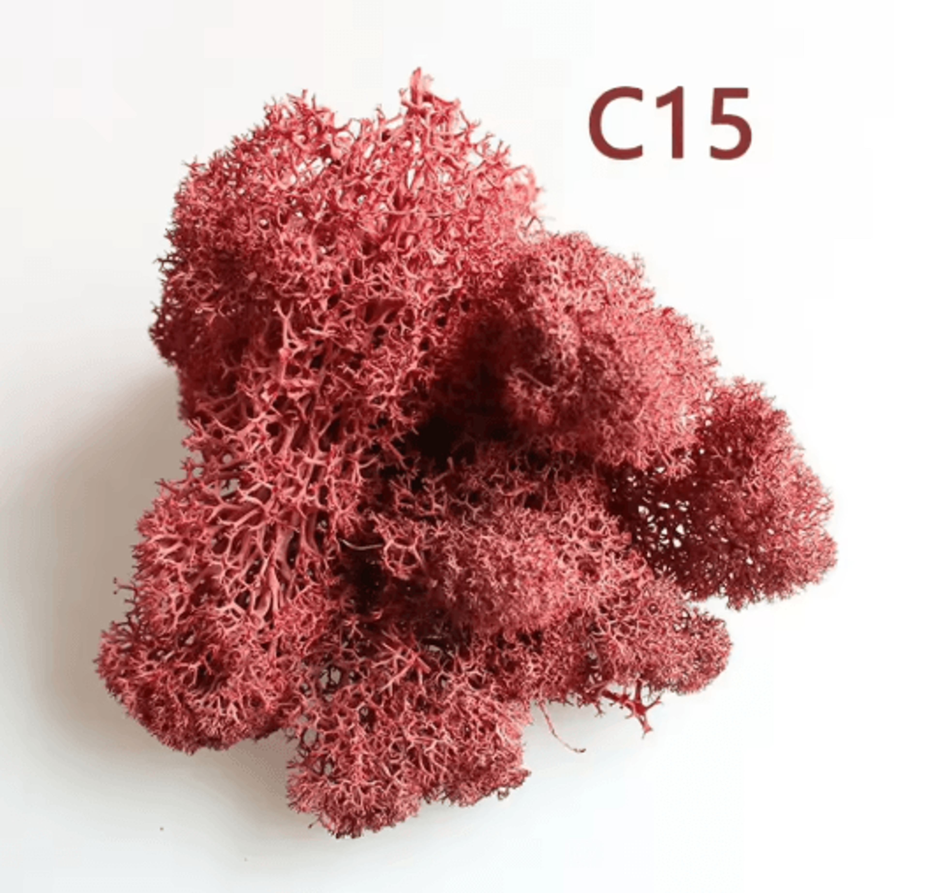 Artificial Preserved Moss Decor Eternal Greenery For DIY Micro Landscape  Home Styling 7