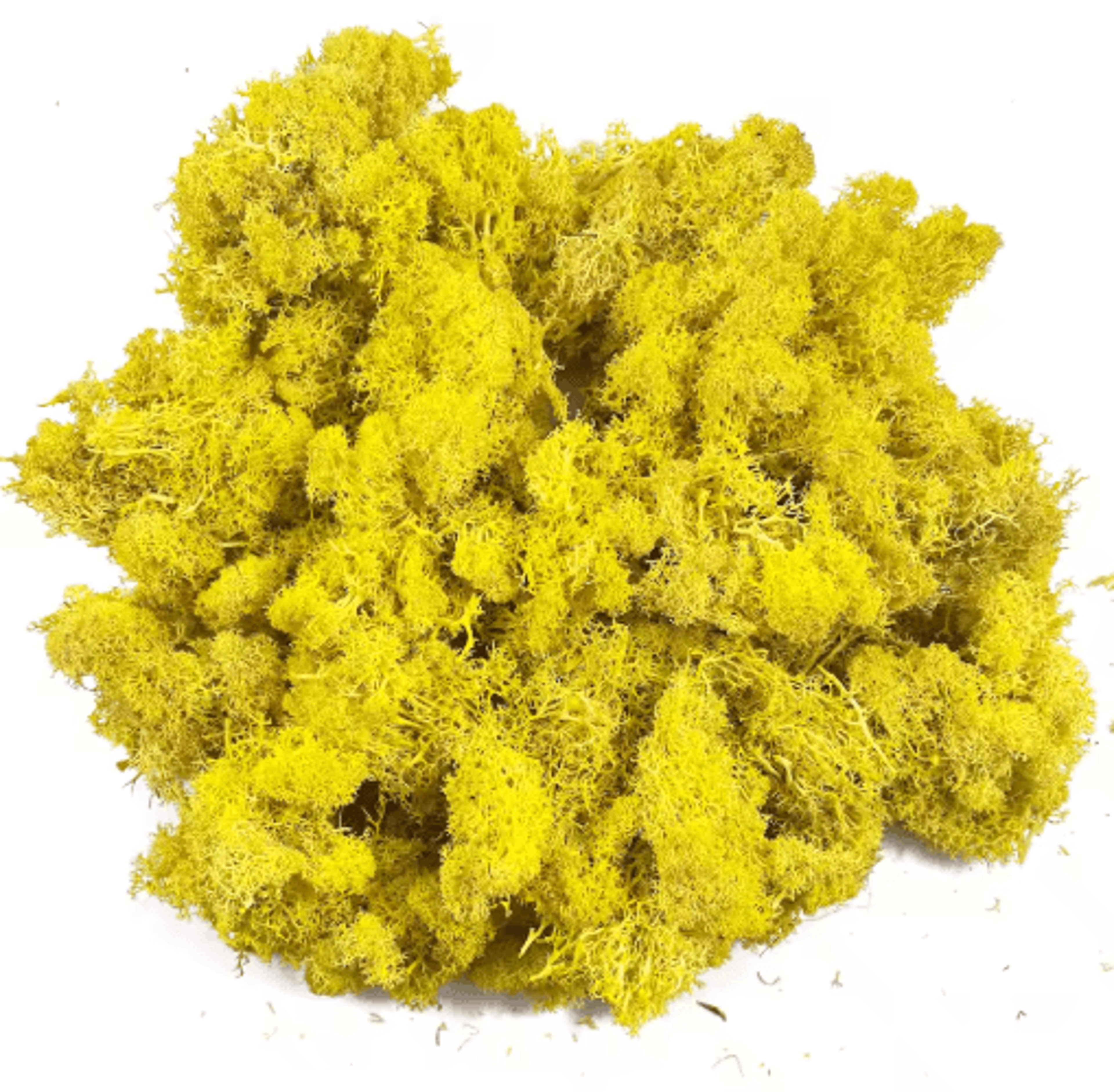 Artificial Reindeer Moss Decor  NaturalLook Green Moss For Crafts  Plant Styling 12