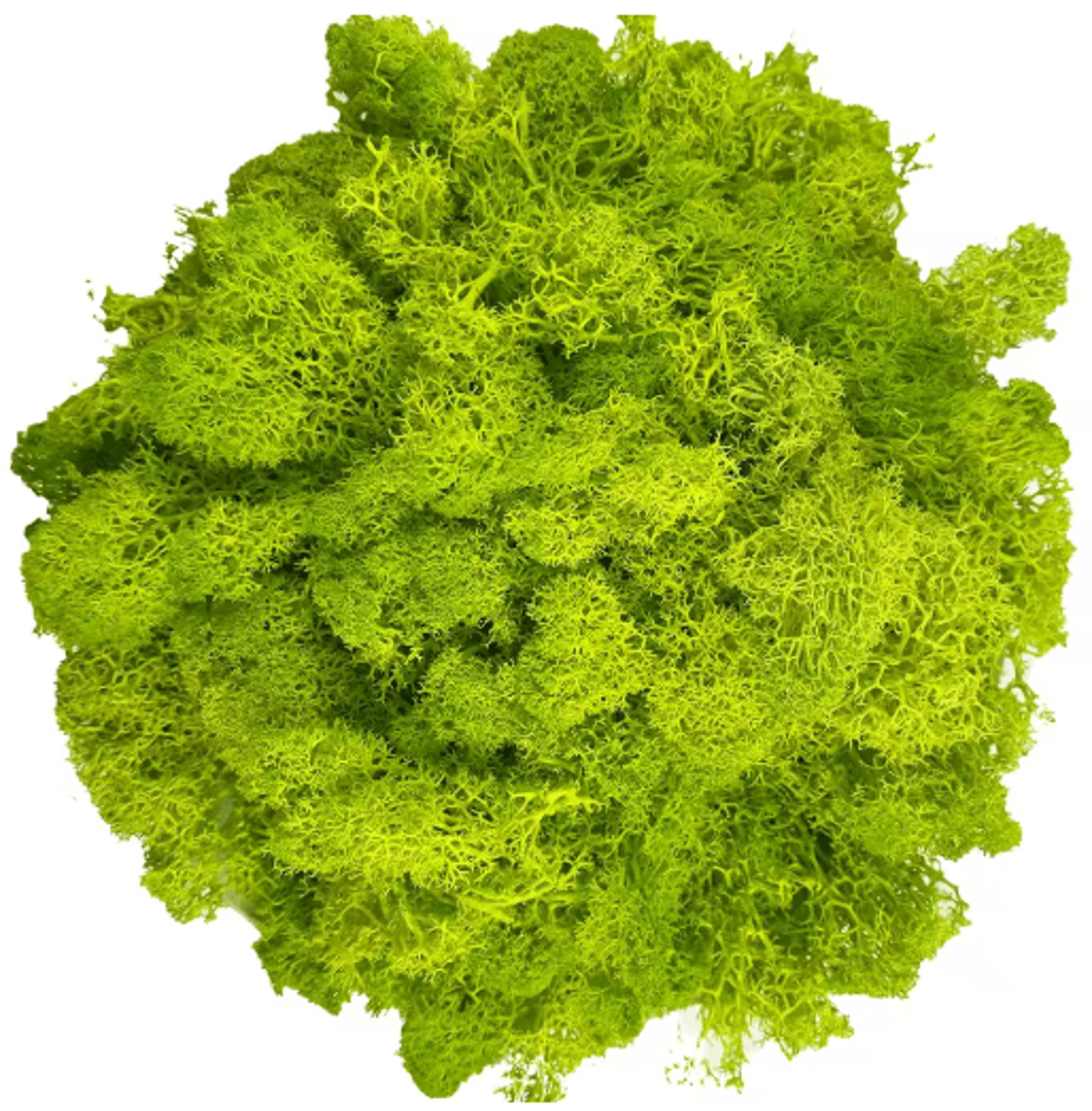 Artificial Reindeer Moss Decor  NaturalLook Green Moss For Crafts  Plant Styling 7