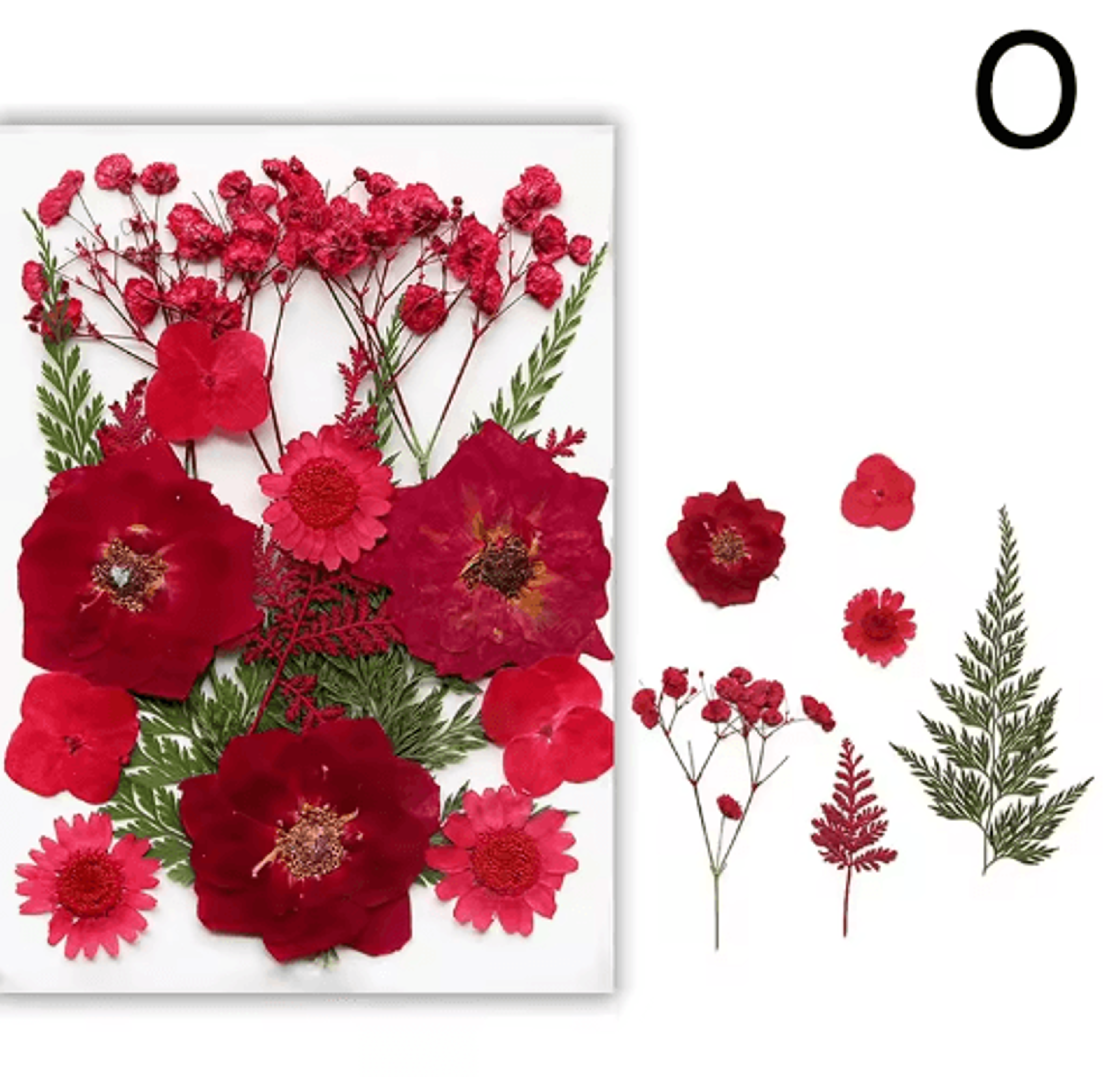 Natural Dried Flower Resin Fillings  Real Pressed Flowers For Nail Art  DIY Crafts 2