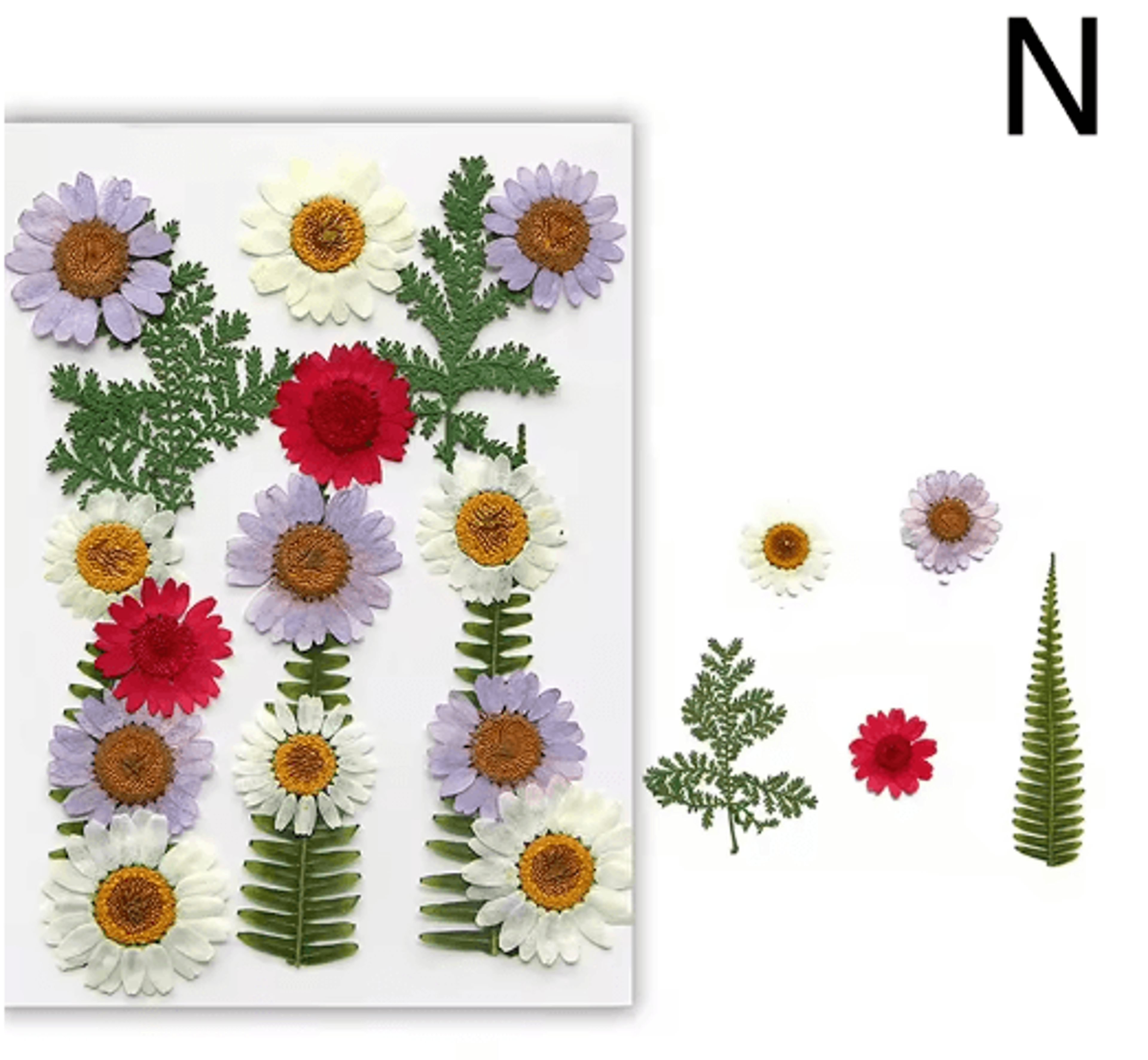 Natural Dried Flower Resin Fillings  Real Pressed Flowers For Nail Art  DIY Crafts 3