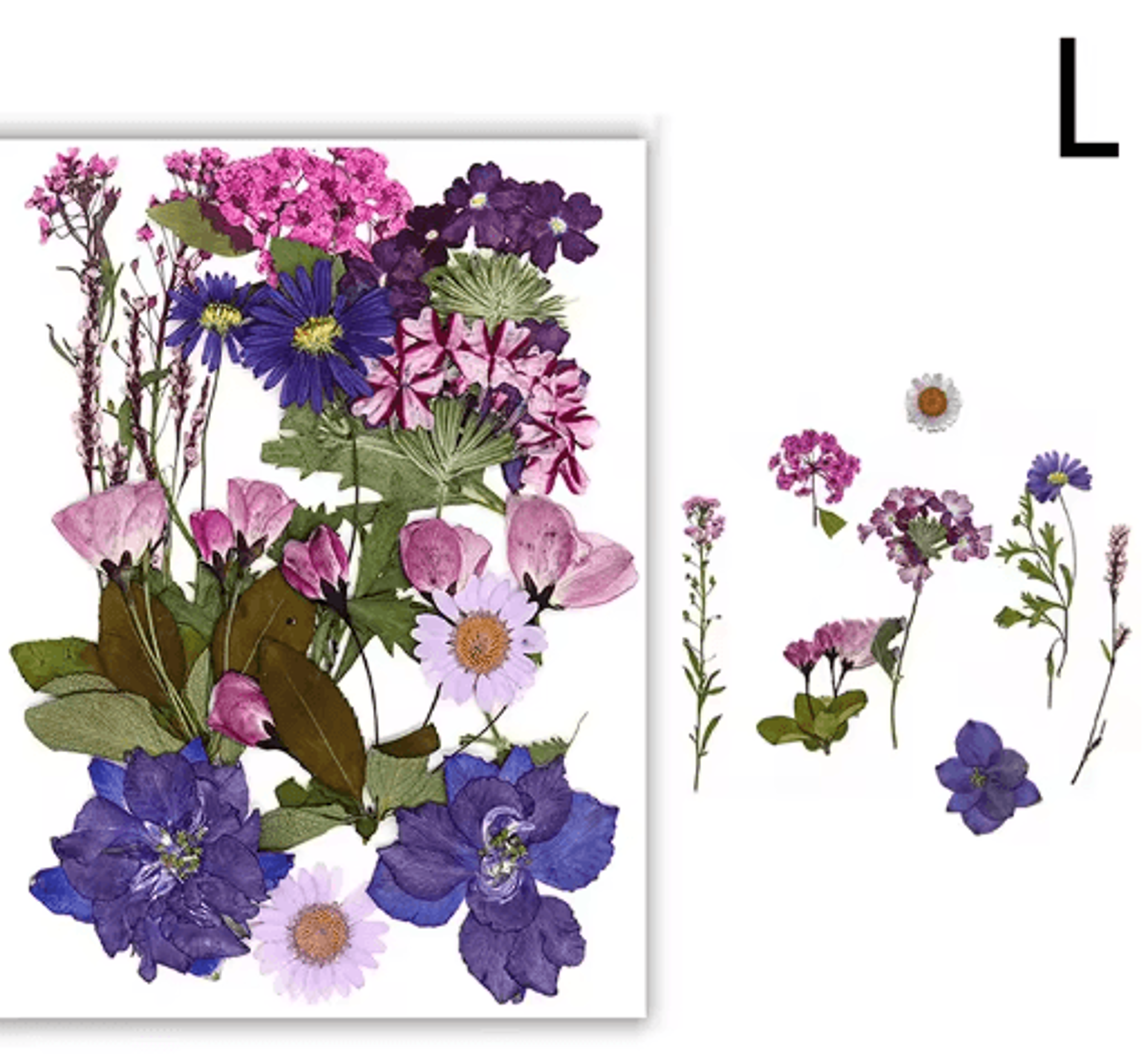 Natural Dried Flower Resin Fillings  Real Pressed Flowers For Nail Art  DIY Crafts 5