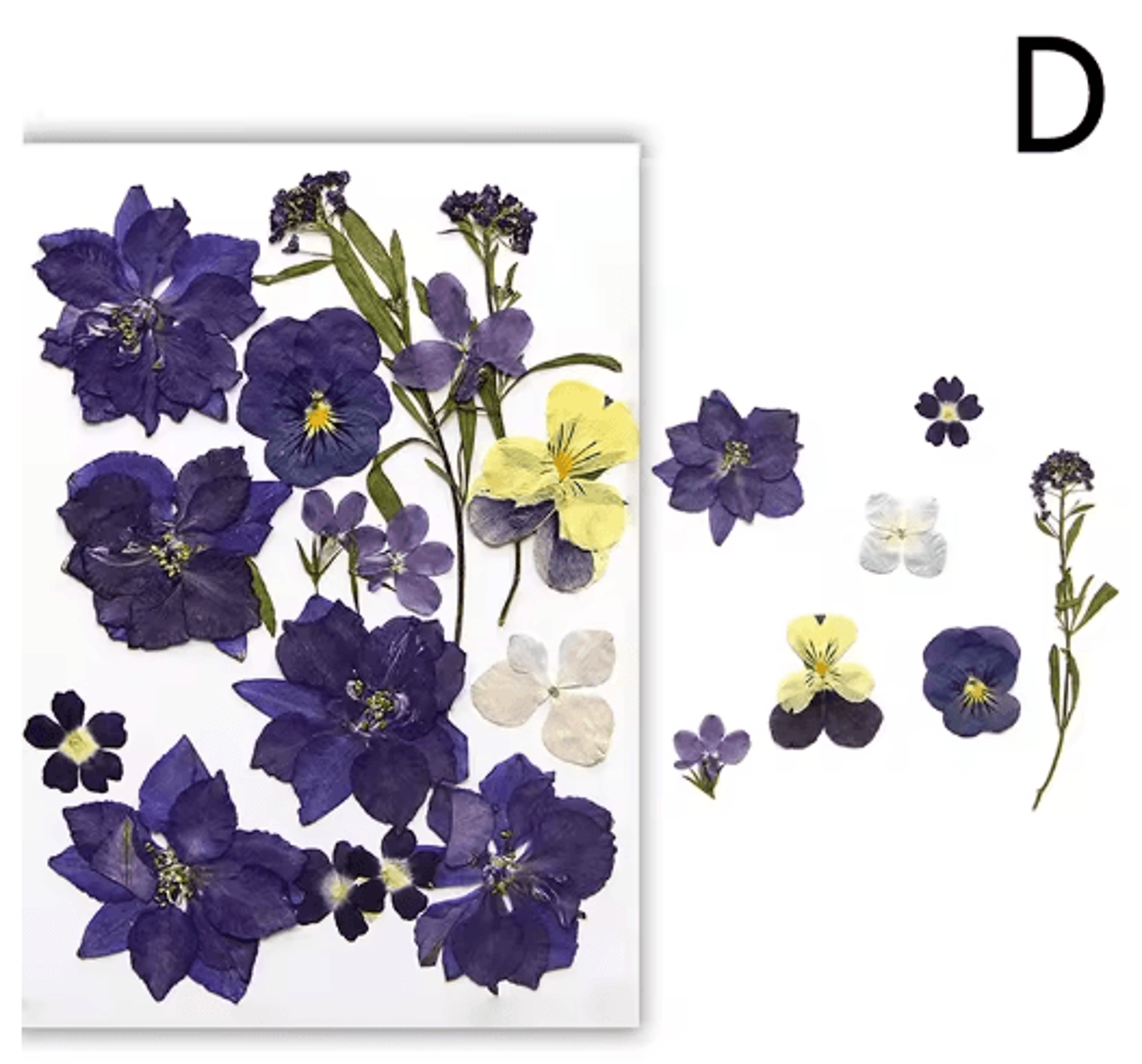 Natural Dried Flower Resin Fillings  Real Pressed Flowers For Nail Art  DIY Crafts 13