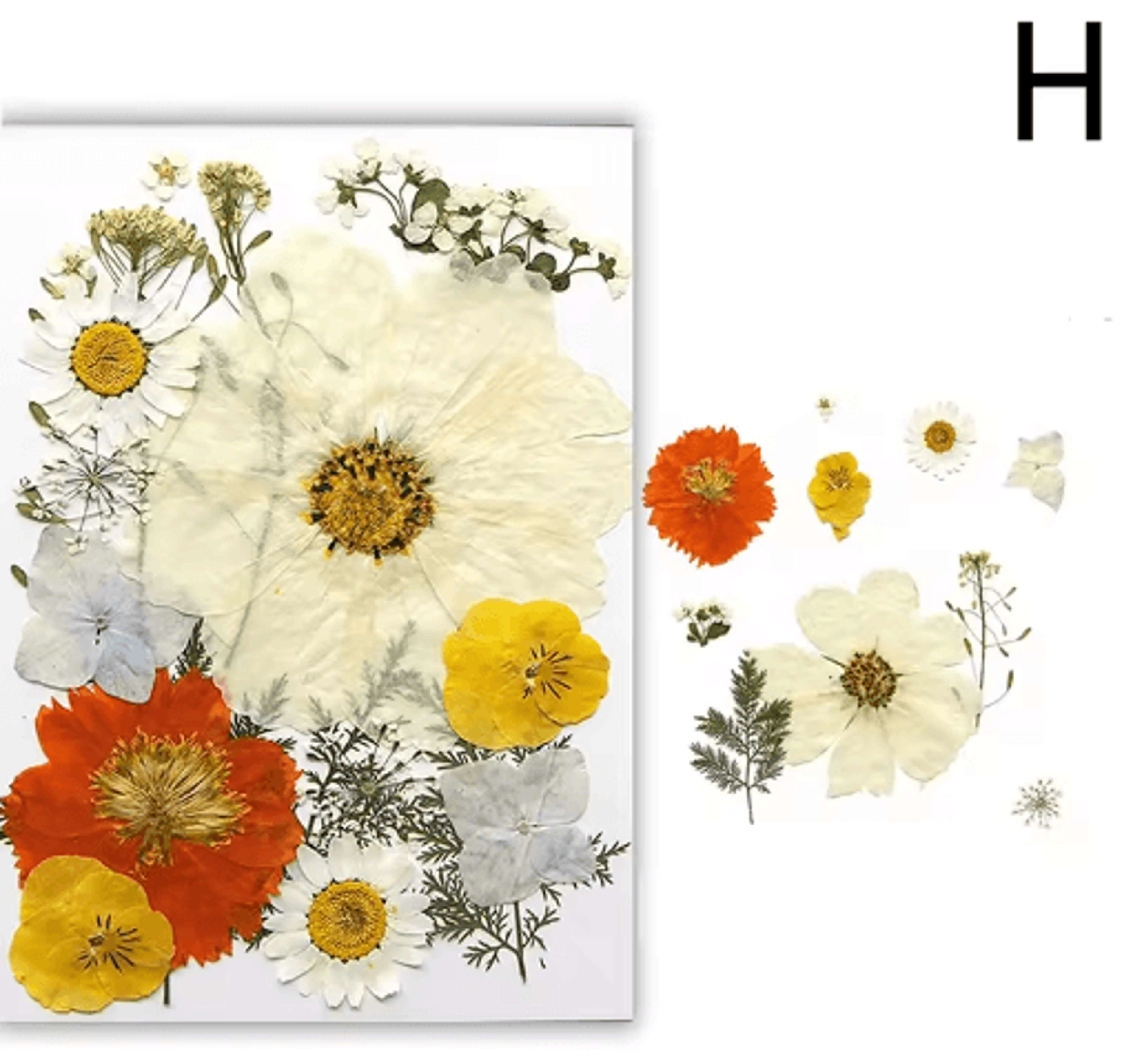 Natural Dried Flower Resin Fillings  Real Pressed Flowers For Nail Art  DIY Crafts 9