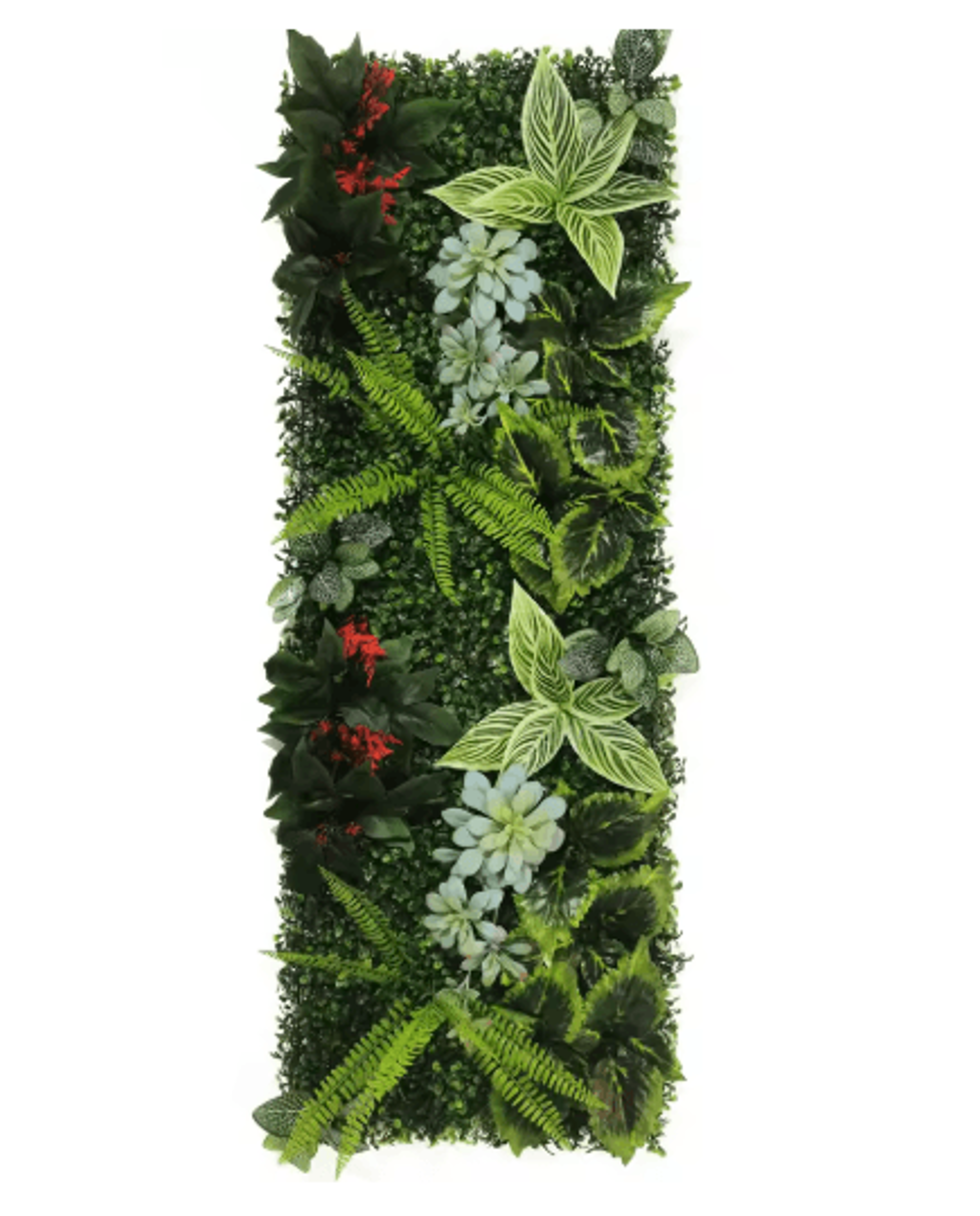 Artificial Grass  Moss Wall Panel Subtropical Green Wall Decor For Home 17