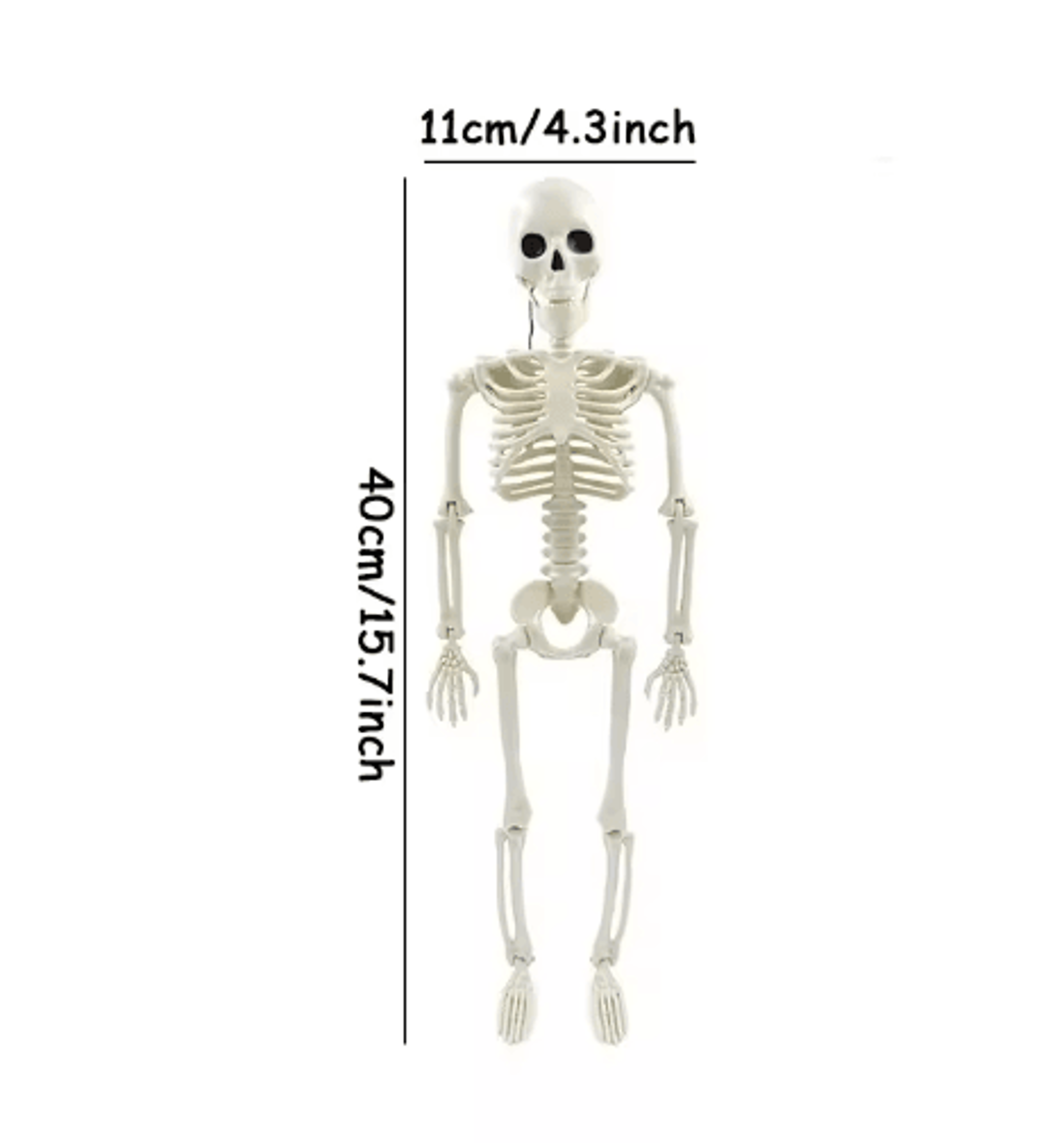 LifeSize Halloween Skeleton Decoration  Spooky Haunted House Prop For Parties 1