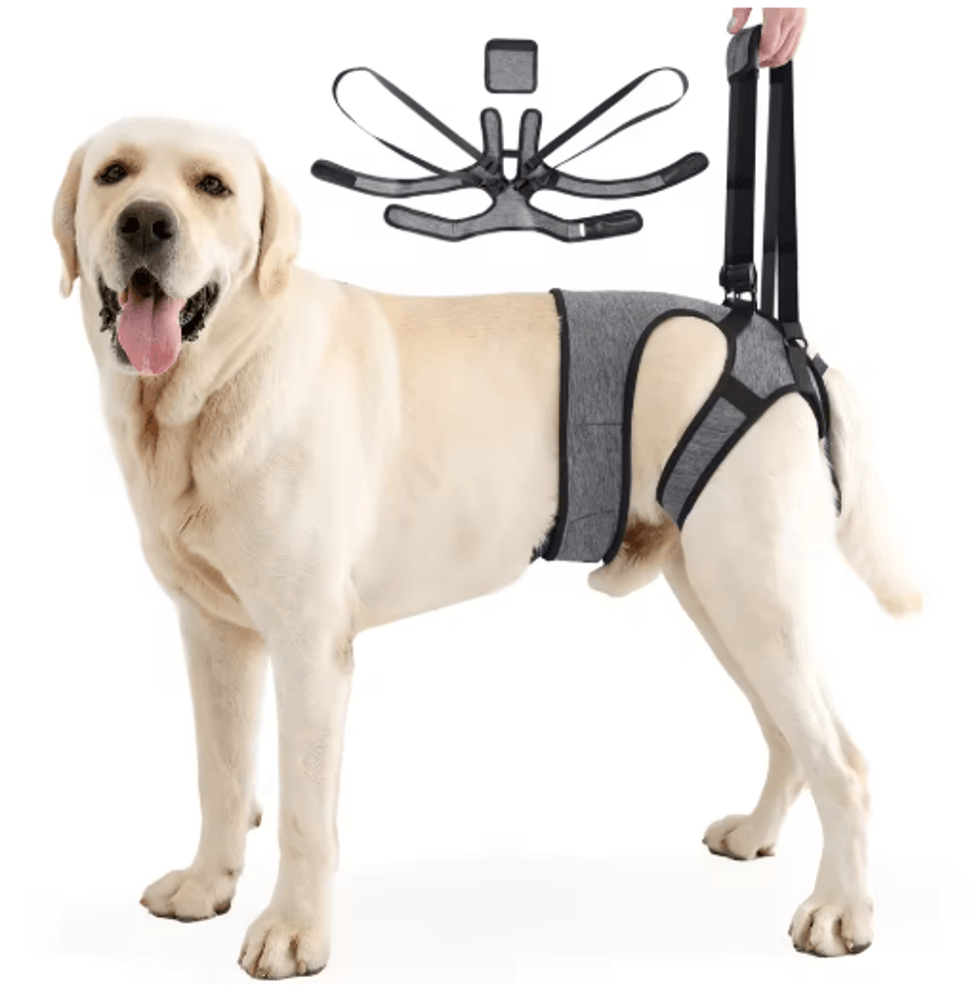 Adjustable Dog Lift Harness For Back Leg Support  Walking Assistance 1