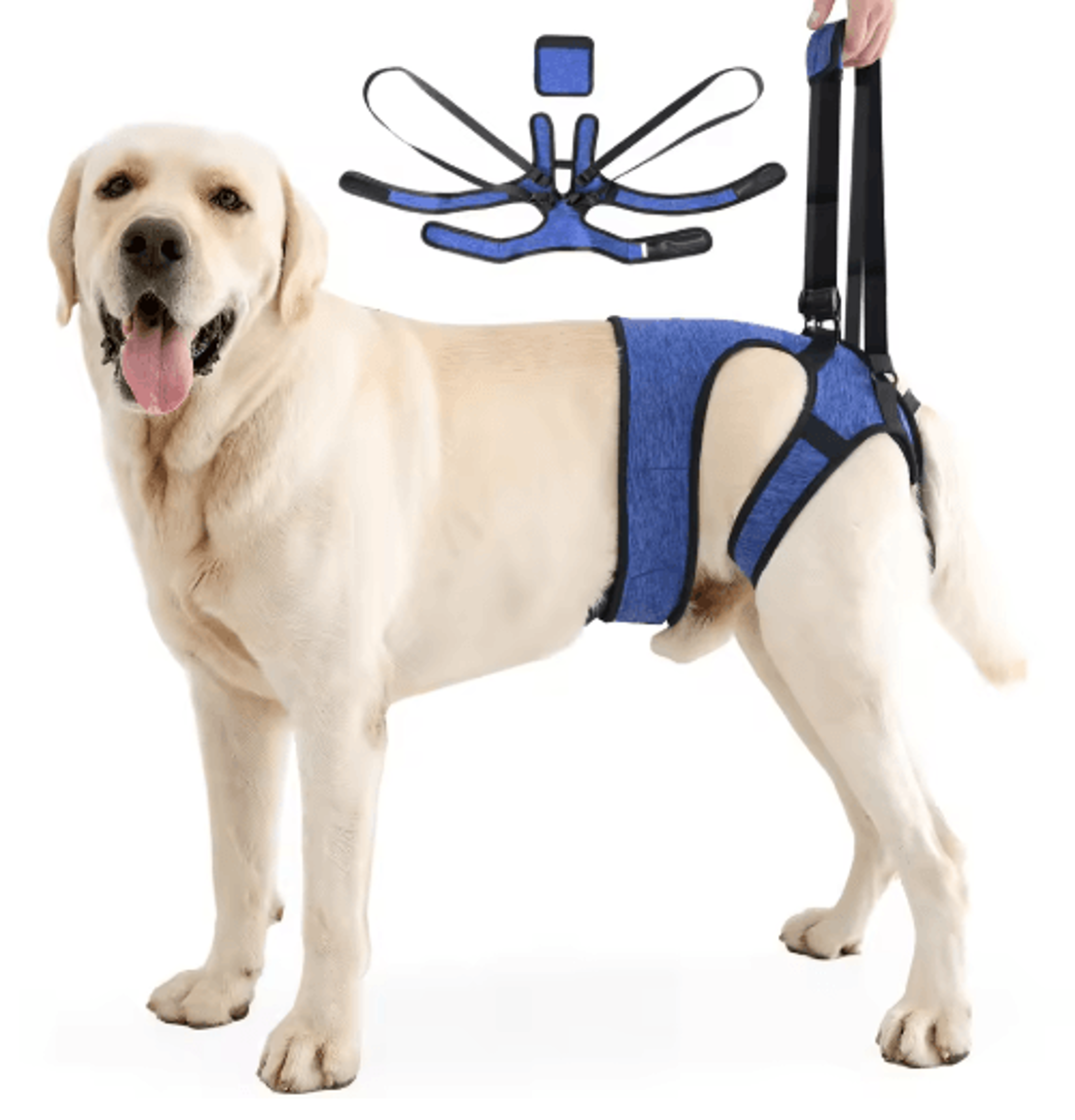 Adjustable Dog Lift Harness For Back Leg Support  Walking Assistance 2
