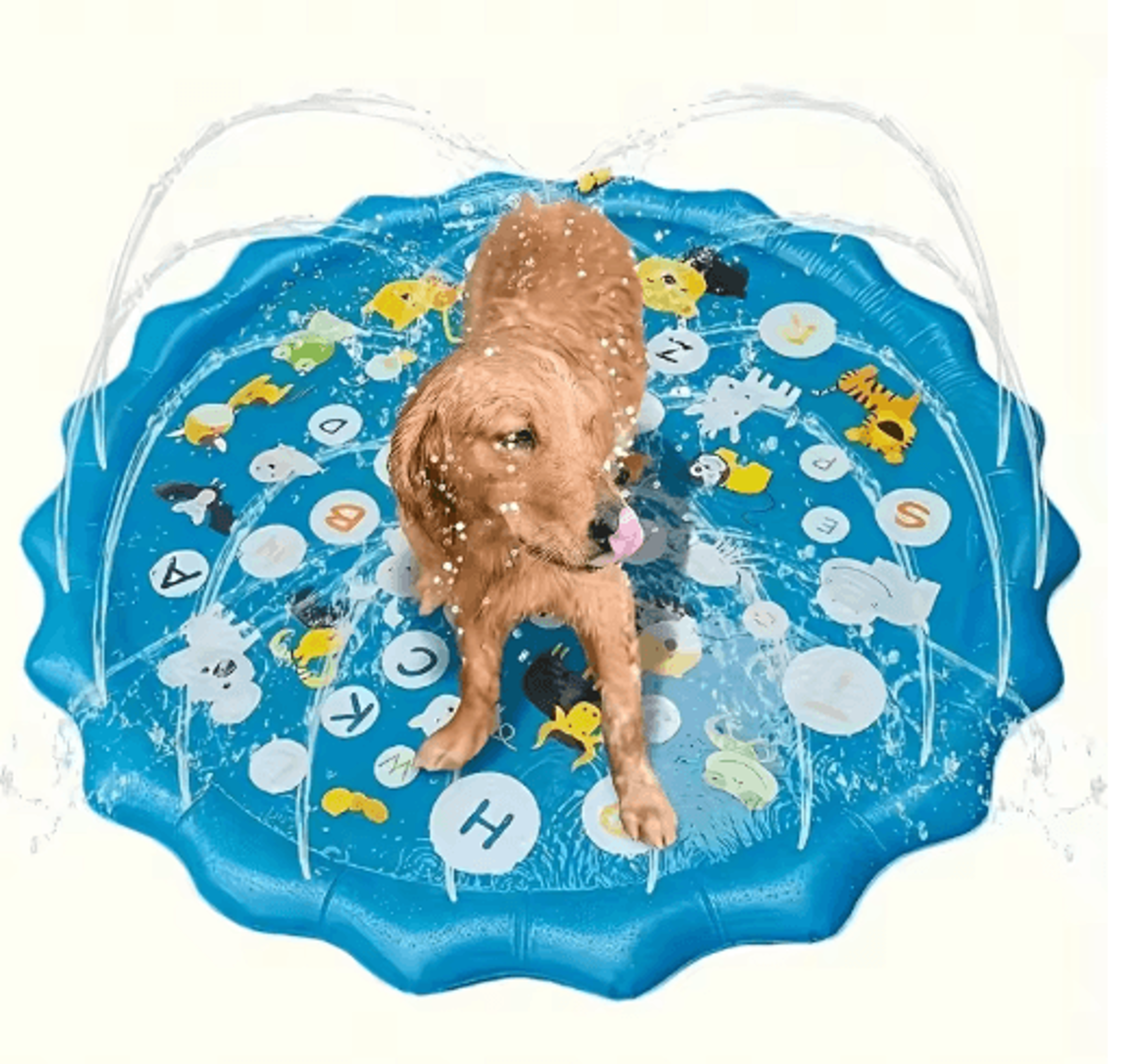 HeavyDuty Outdoor Pet Bath  Cooling Splash Basin For Dogs 4