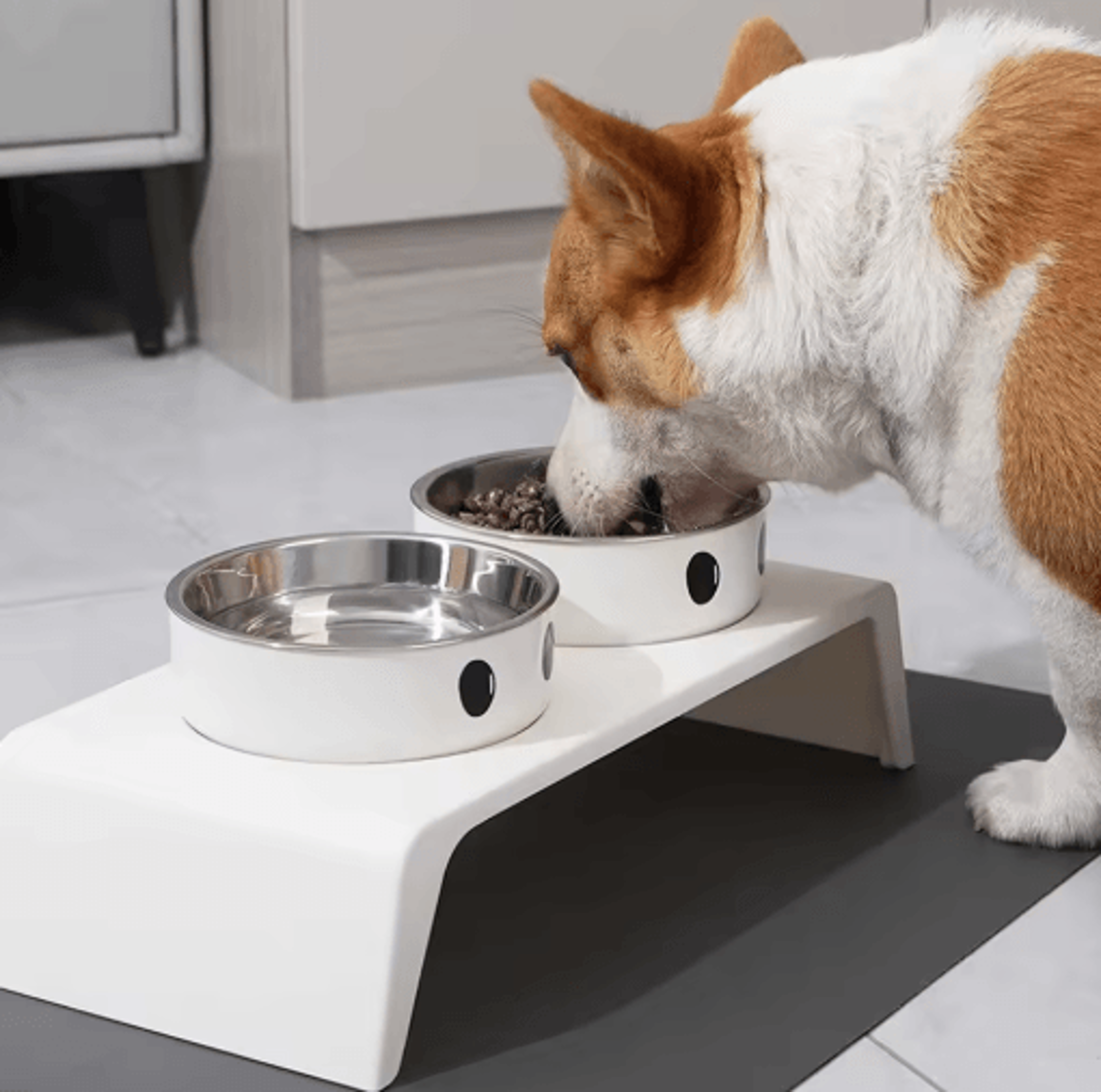 Elevated Dog Feeder With Stainless Steel Bowls Raised Pet Feeding Station For Dogs  Cats 0