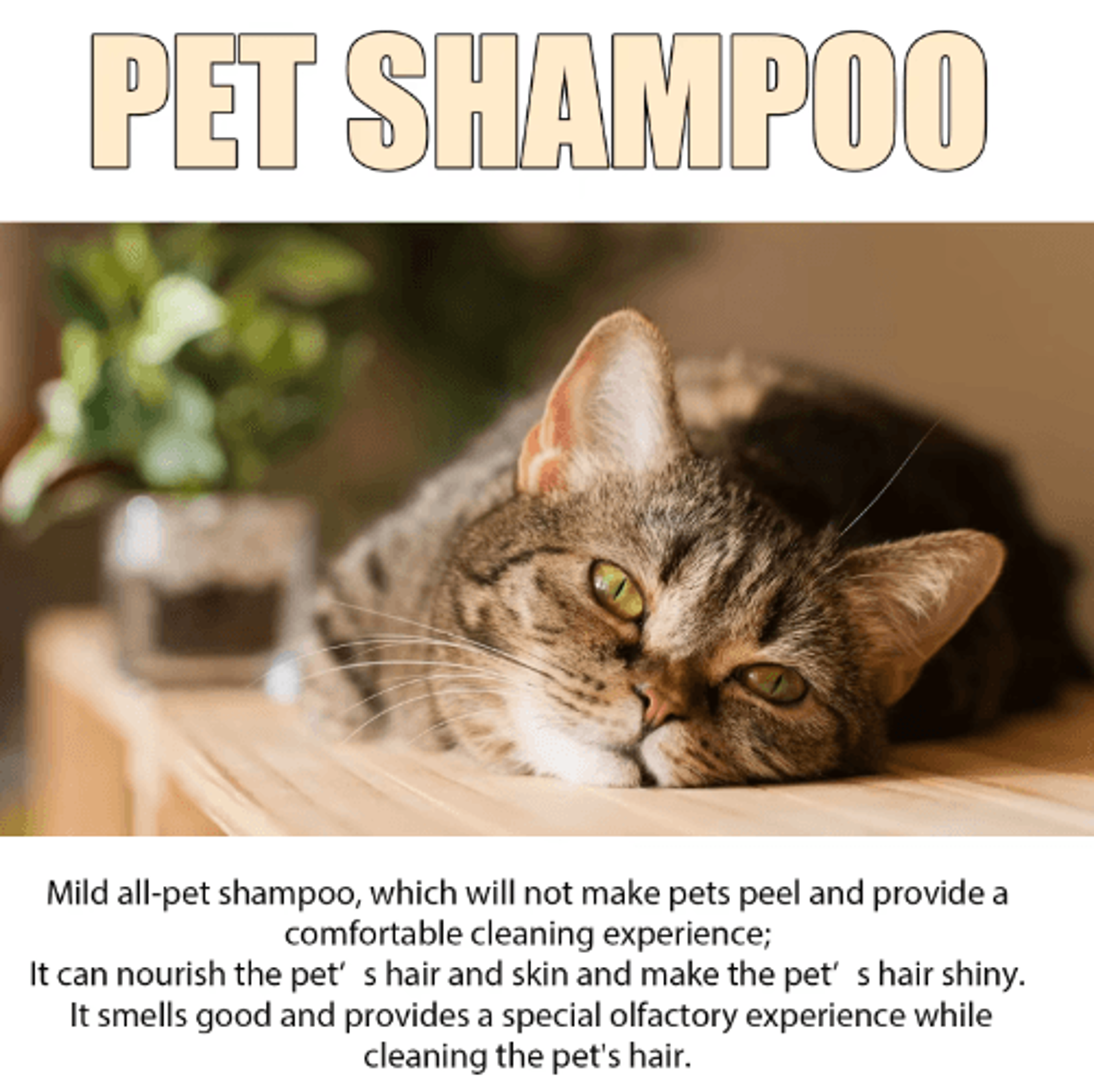 AntiFlea Dog Shampoo  Moisturizing Pet Wash For Itching Odor  Dirt Removal 6