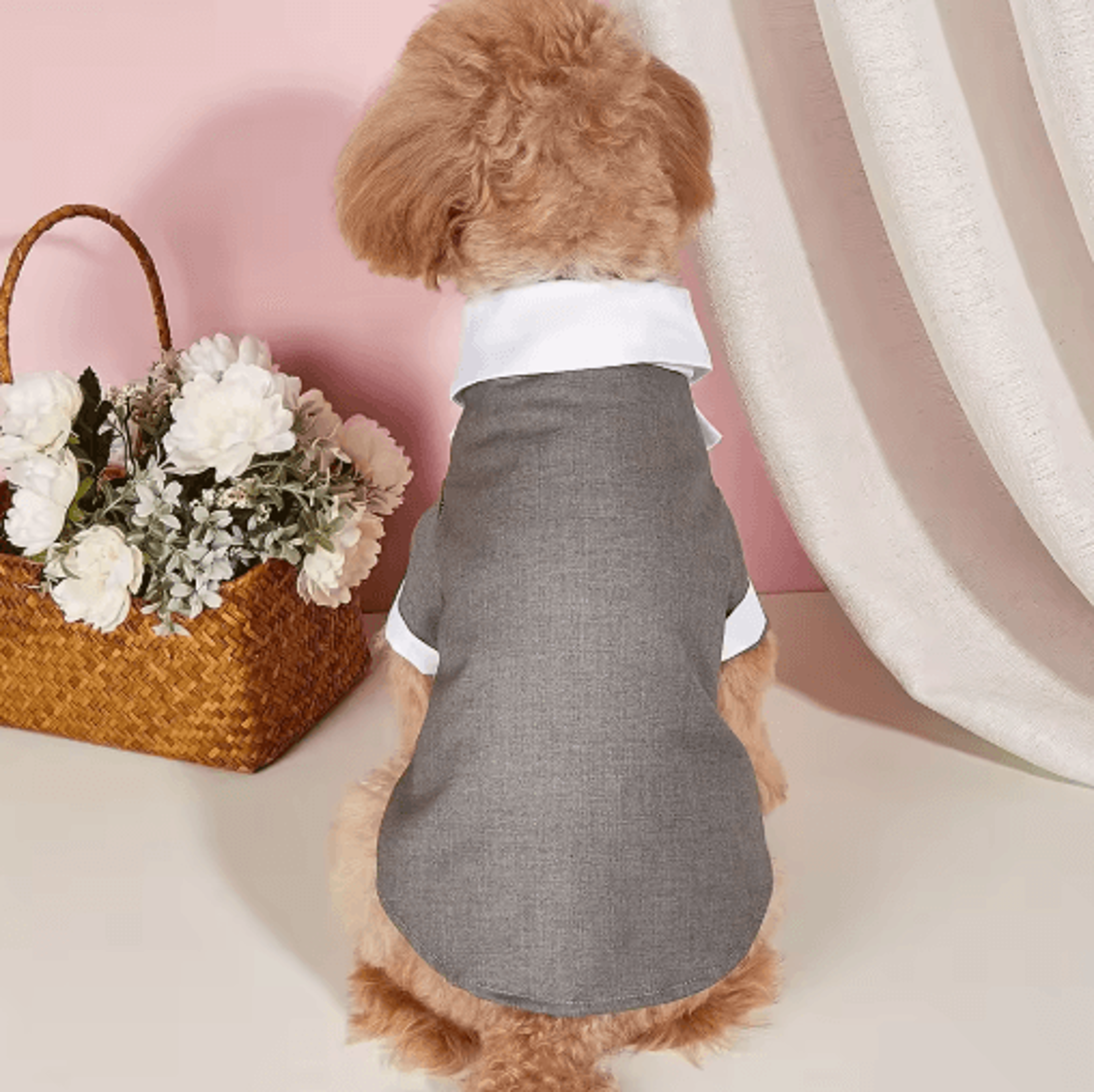 Royal Paws Formal Dog Wedding Suit With Bow Tie 3