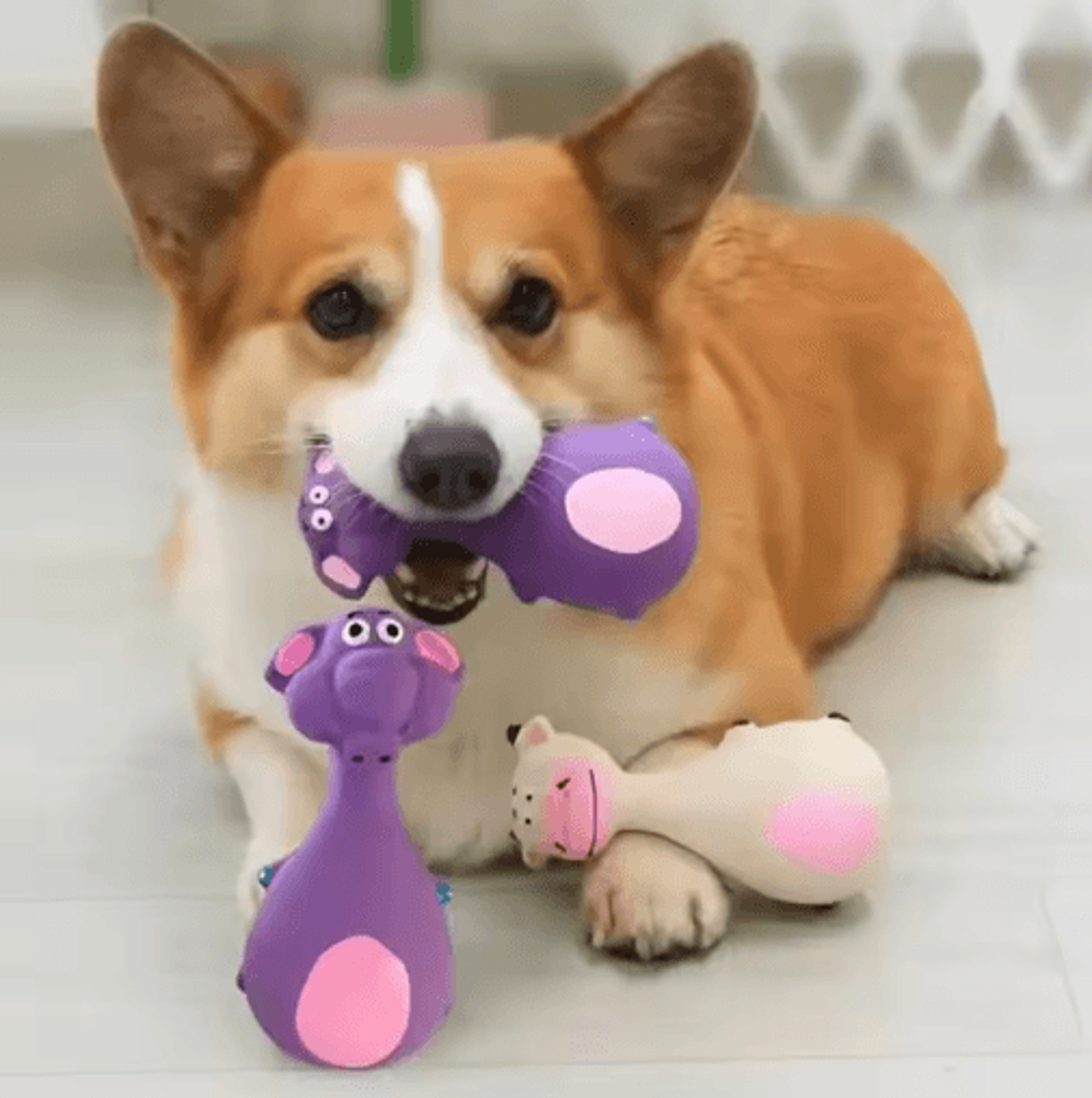 Jungle Squeak Interactive Dog Chew Toy For Small  Large Dogs 6