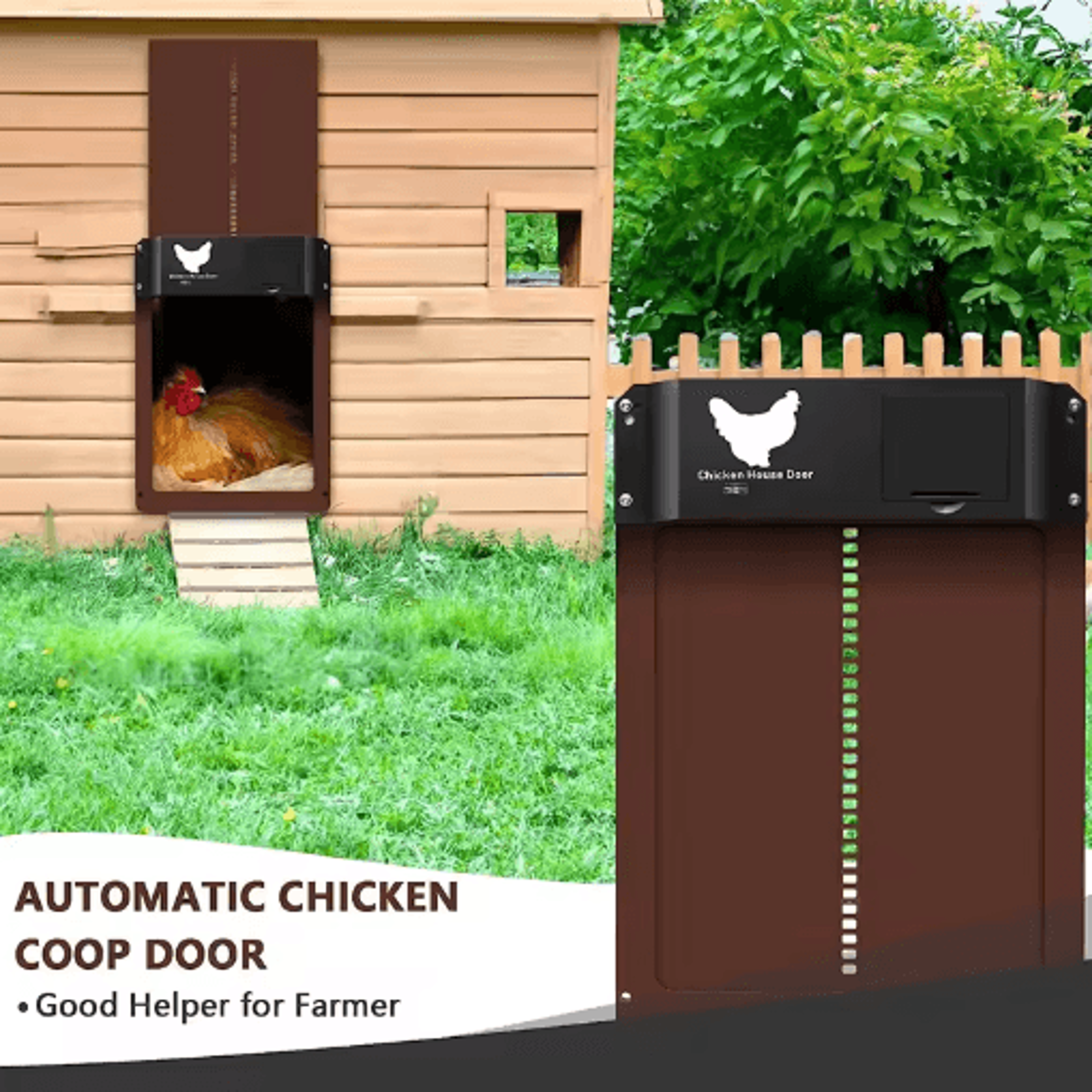 Farm Guard Automatic Chicken Coop Door With Light Sensor Control 2