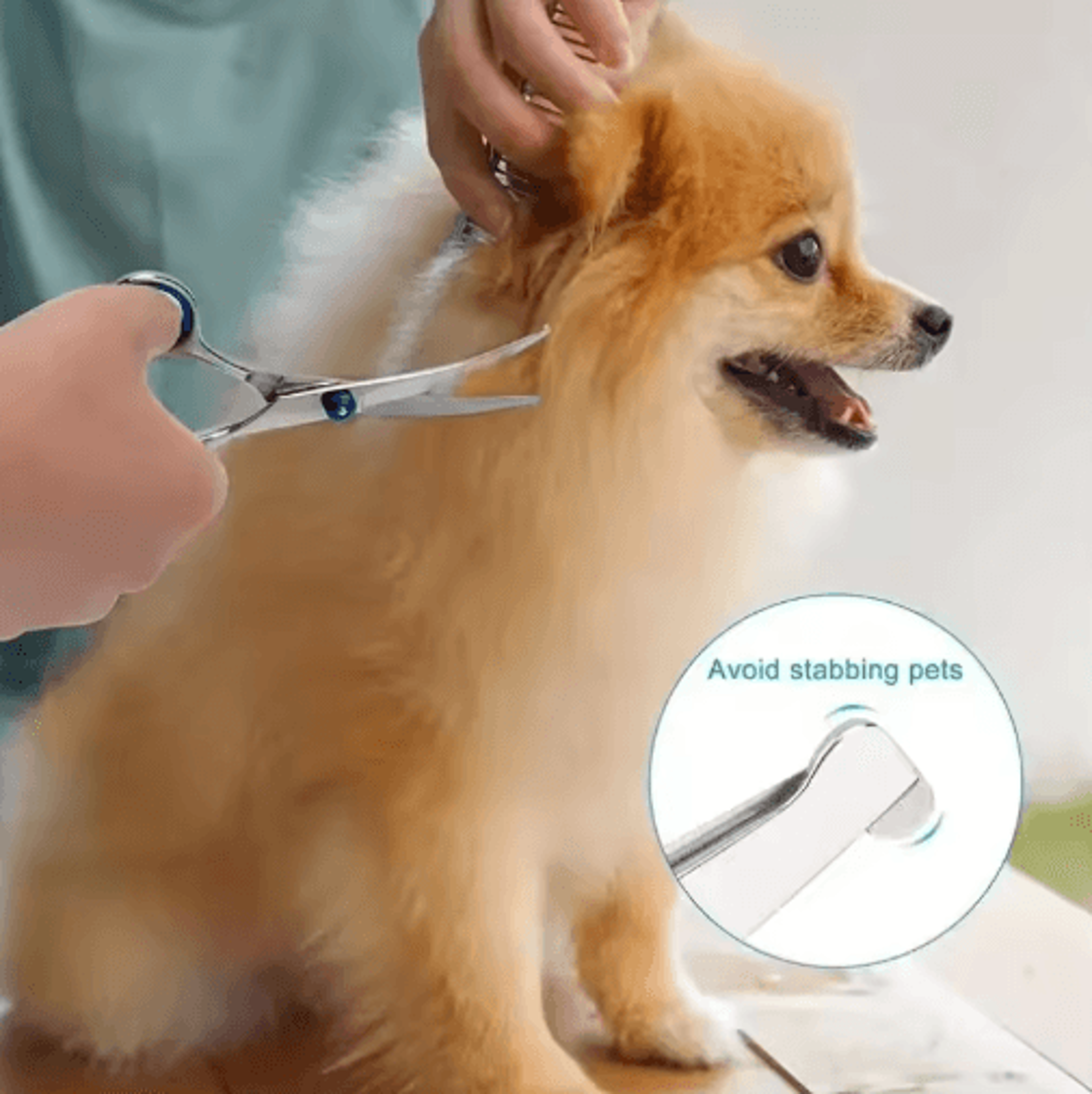 ProTrim 4PCS Pet Grooming Scissors Set  Safe Round Tip Dog  Cat Grooming Shears 3