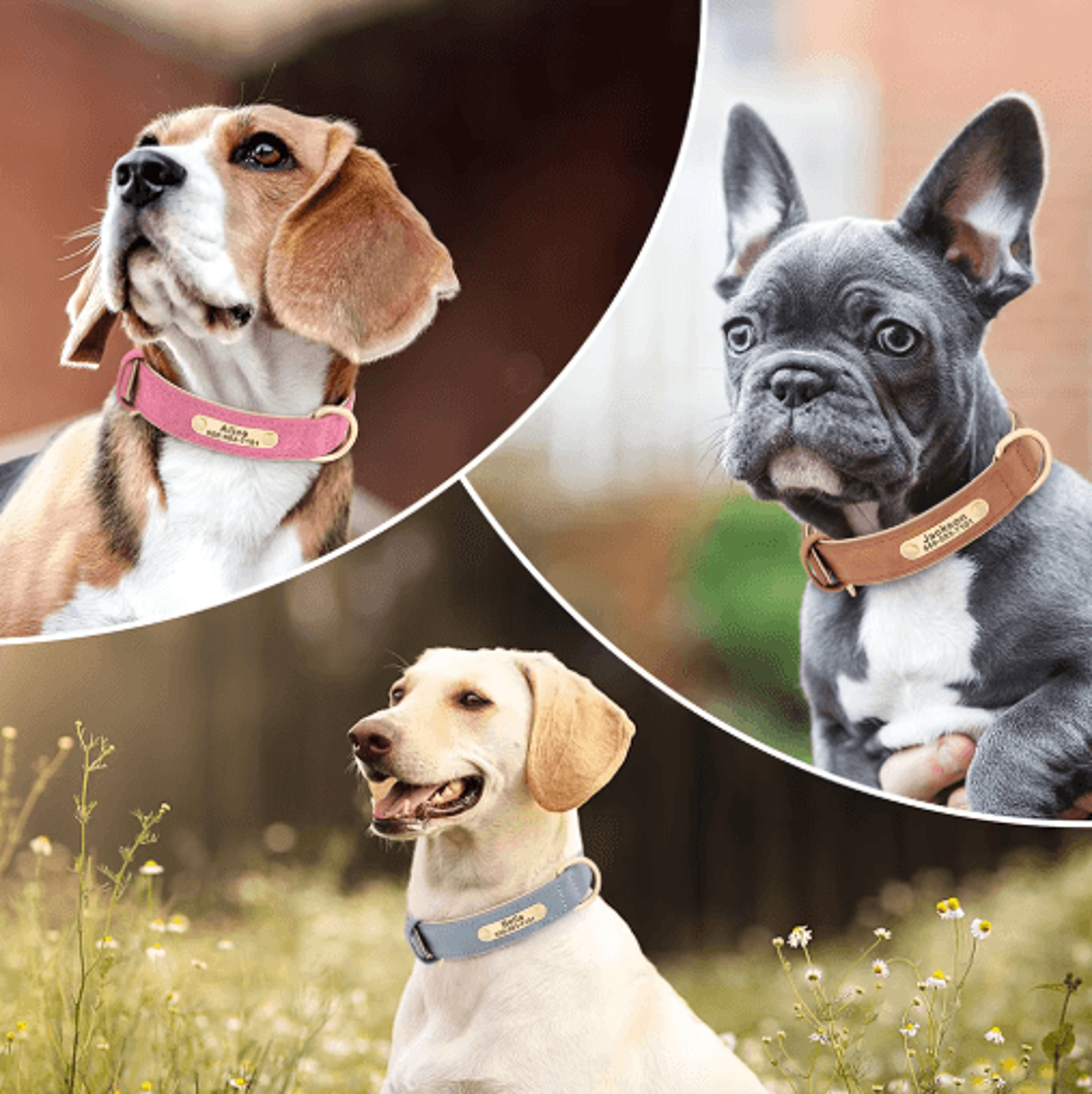 Personalized PU Leather Dog Collar With Free Engraved Nameplate For All Dog Sizes 26