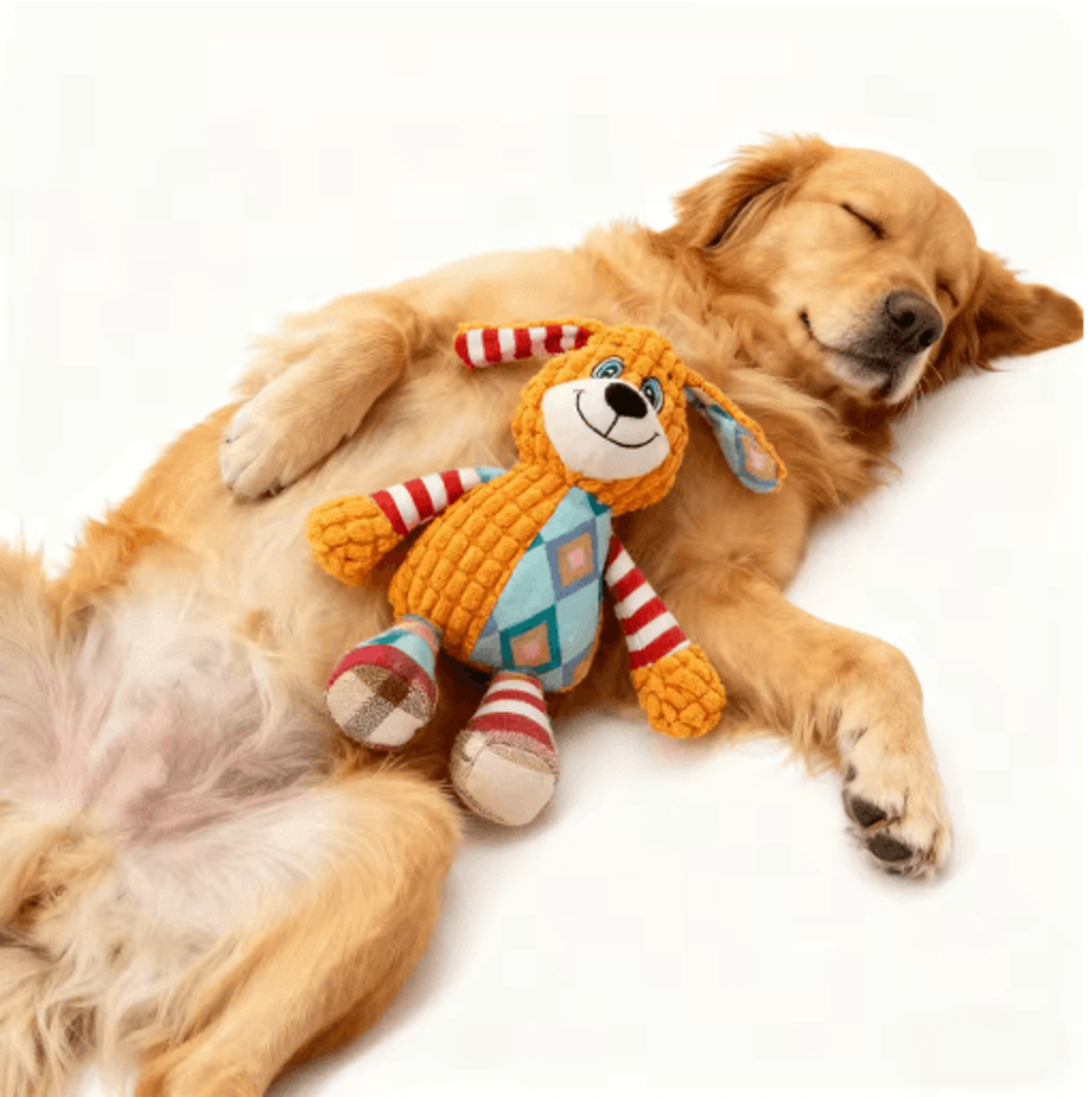 Interactive Plush Pet Toy For Dogs  Cats Squeaky Bite Resistant Chew  Teeth Cleaning Toy 3
