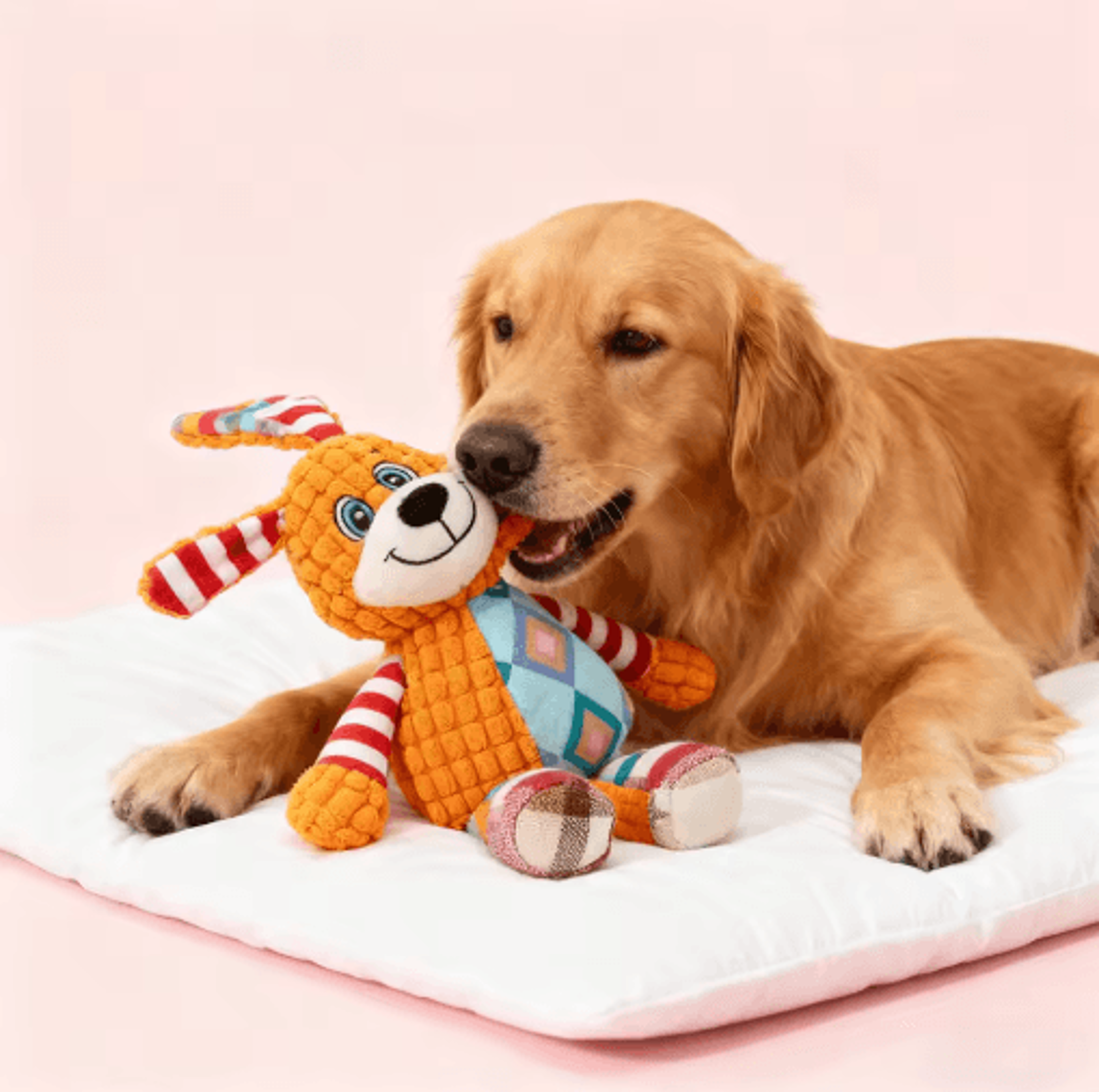 Interactive Plush Pet Toy For Dogs  Cats Squeaky Bite Resistant Chew  Teeth Cleaning Toy 5