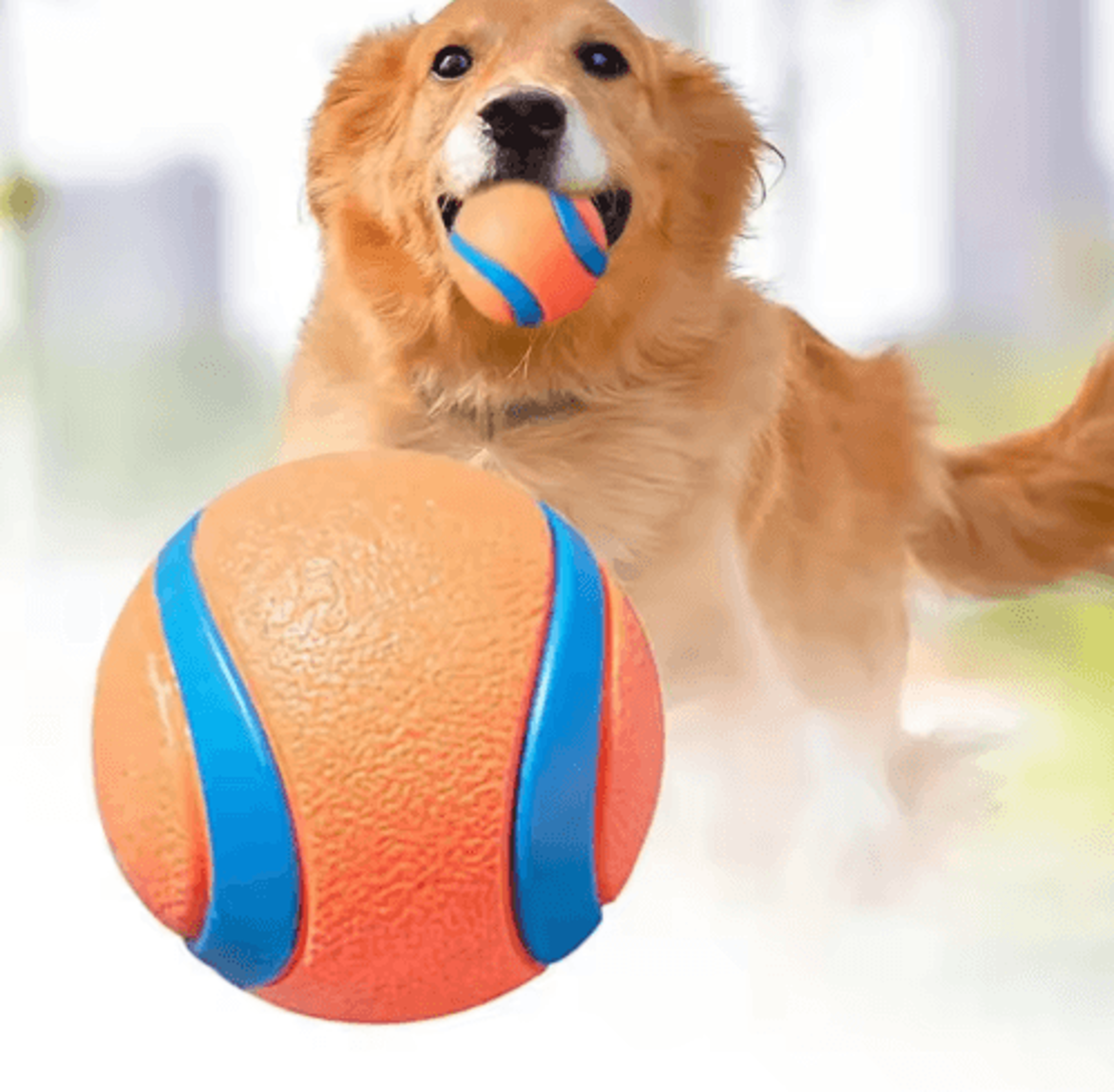 Tough Elastic Dog Fetch Ball  Durable Chew  Jumping Toy For Dogs Of All Sizes 0