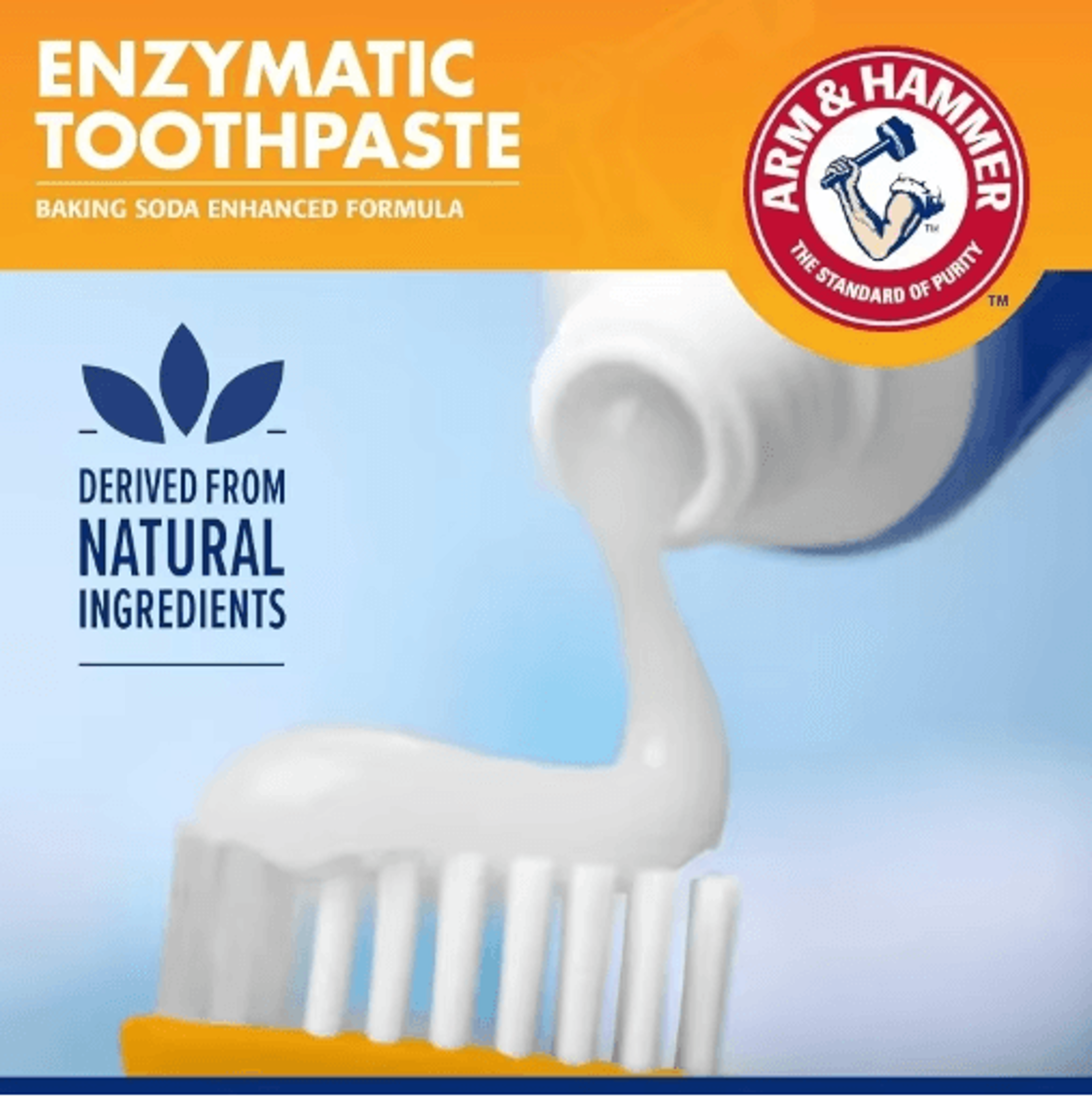 Pet Dental Care Kit  Toothbrush  Toothpaste Set For Dogs  Cats 10