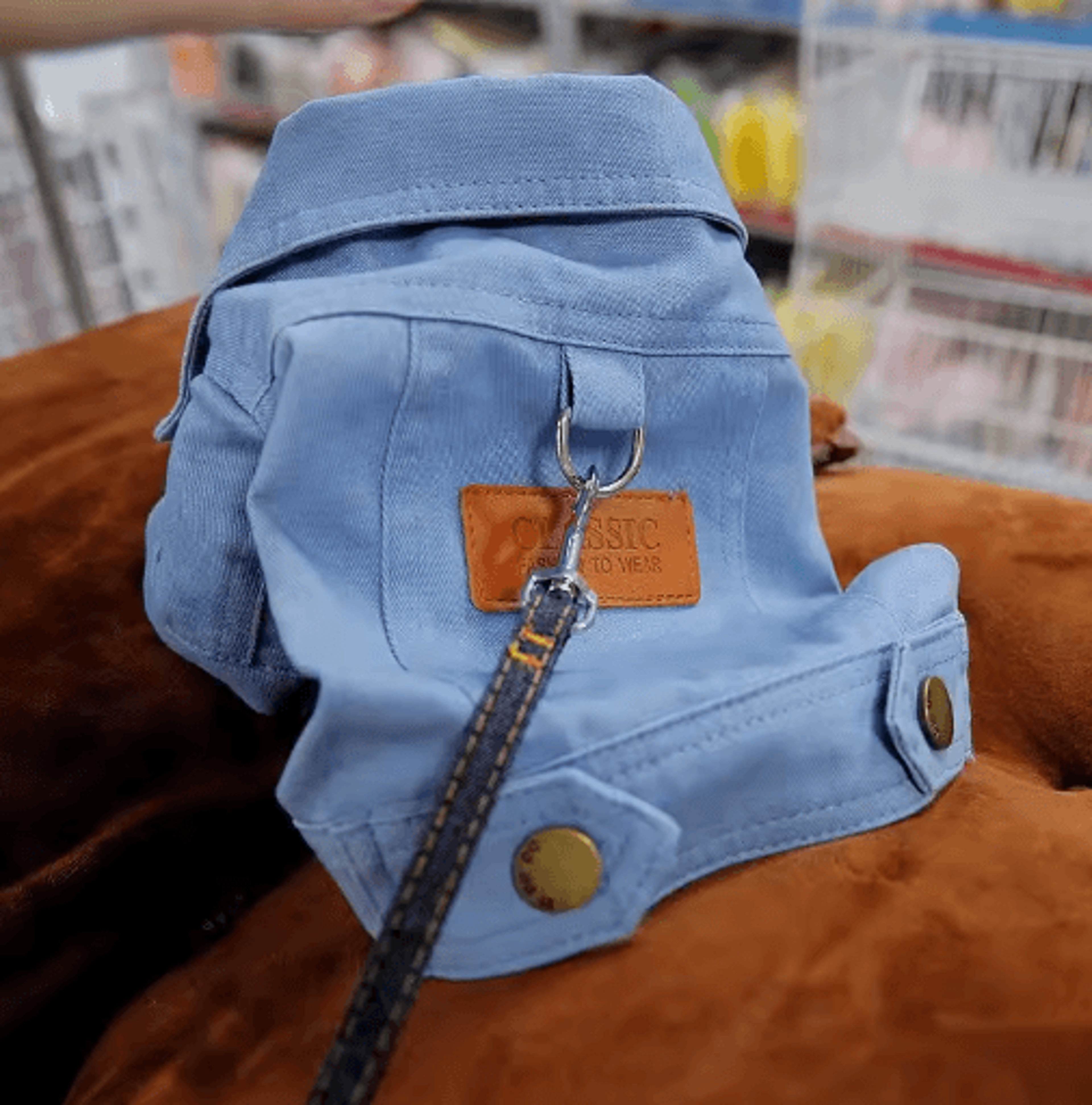 Denim Dog Jacket Harness Outfit With D Ring Leash Hook For Small  Medium Dogs 6
