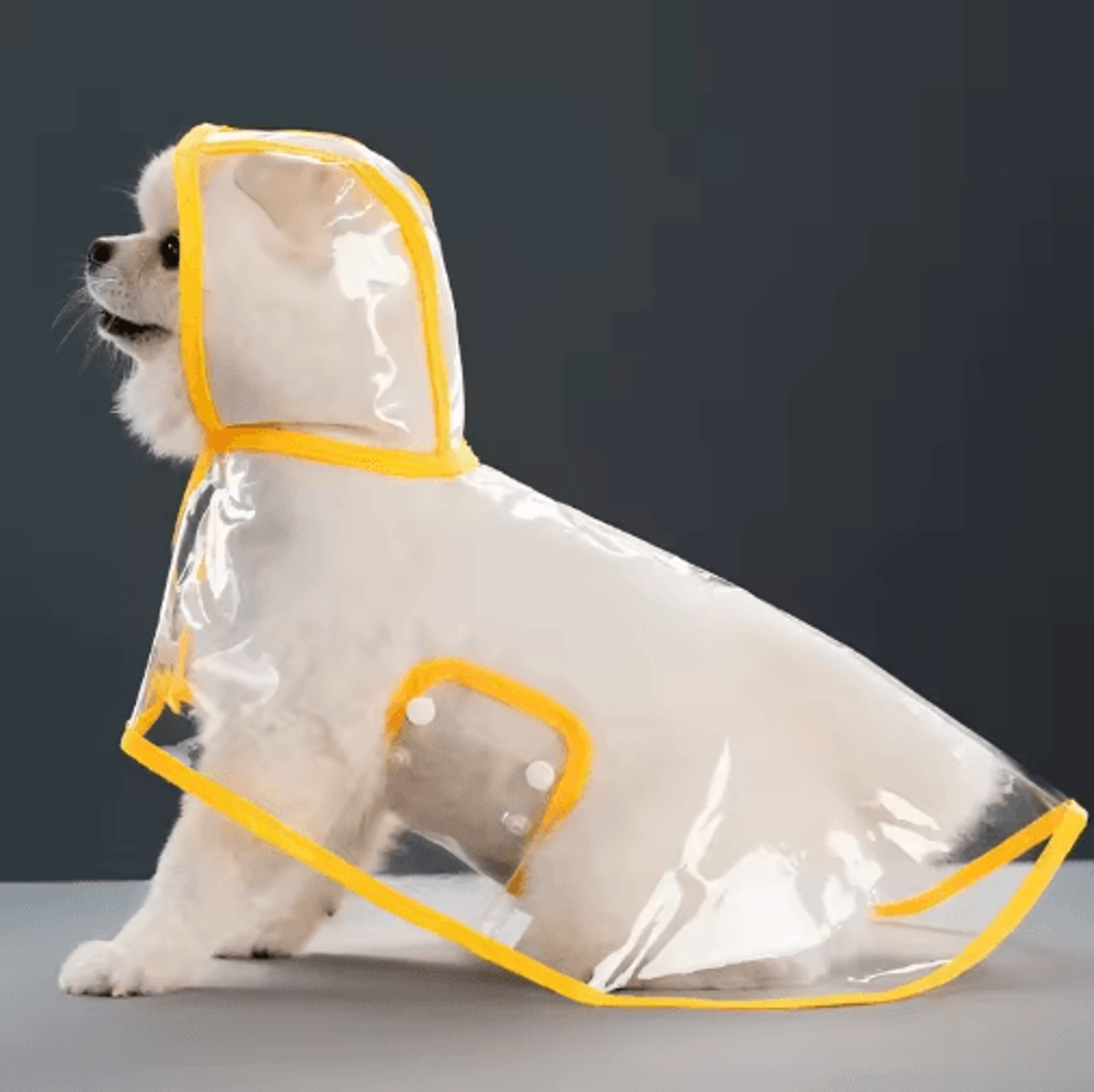 Transparent Waterproof Dog Raincoat For Small  Large Dogs XS8XL 3