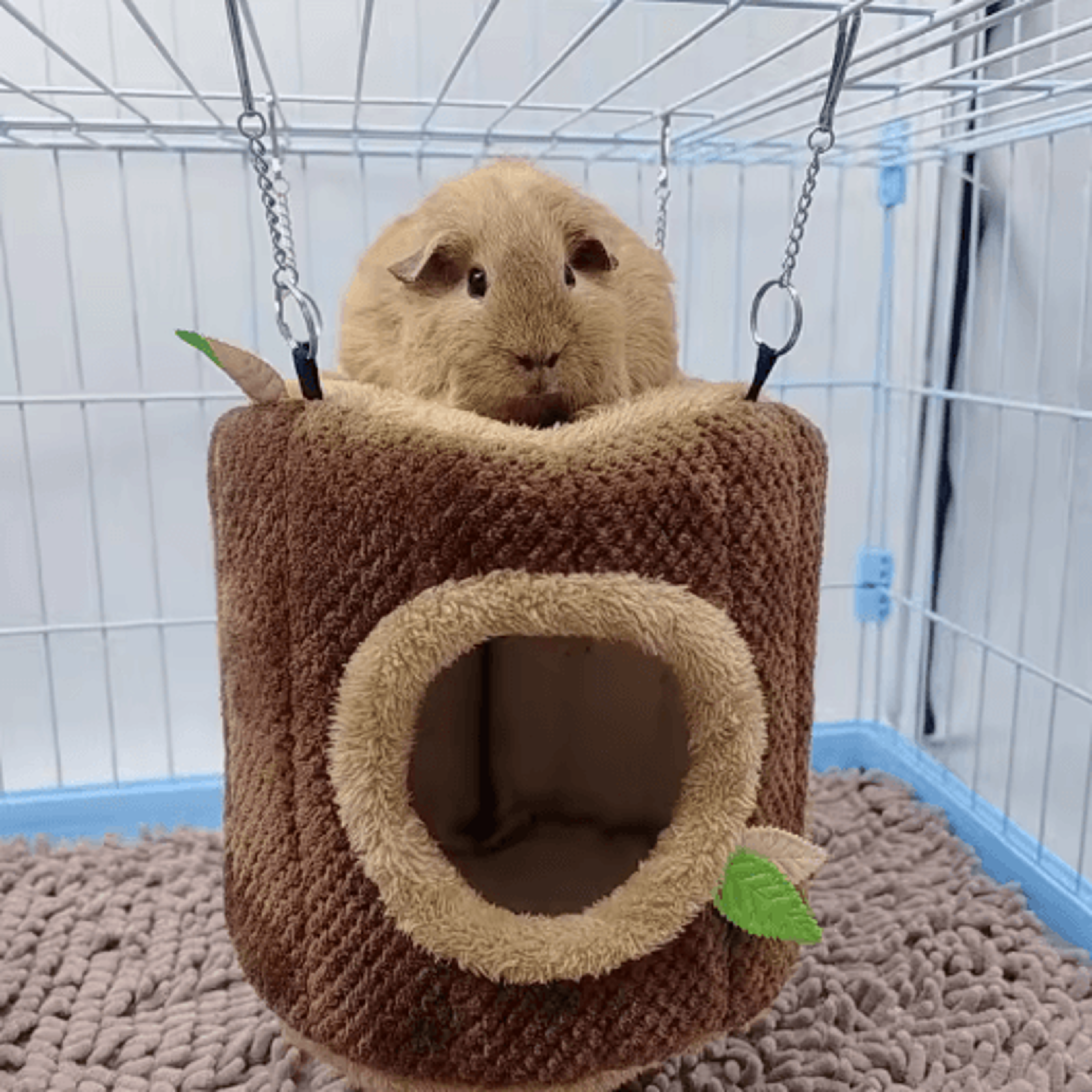 Tree Stump Hamster Hammock House  Cozy Hanging Bed For Small Pets 0