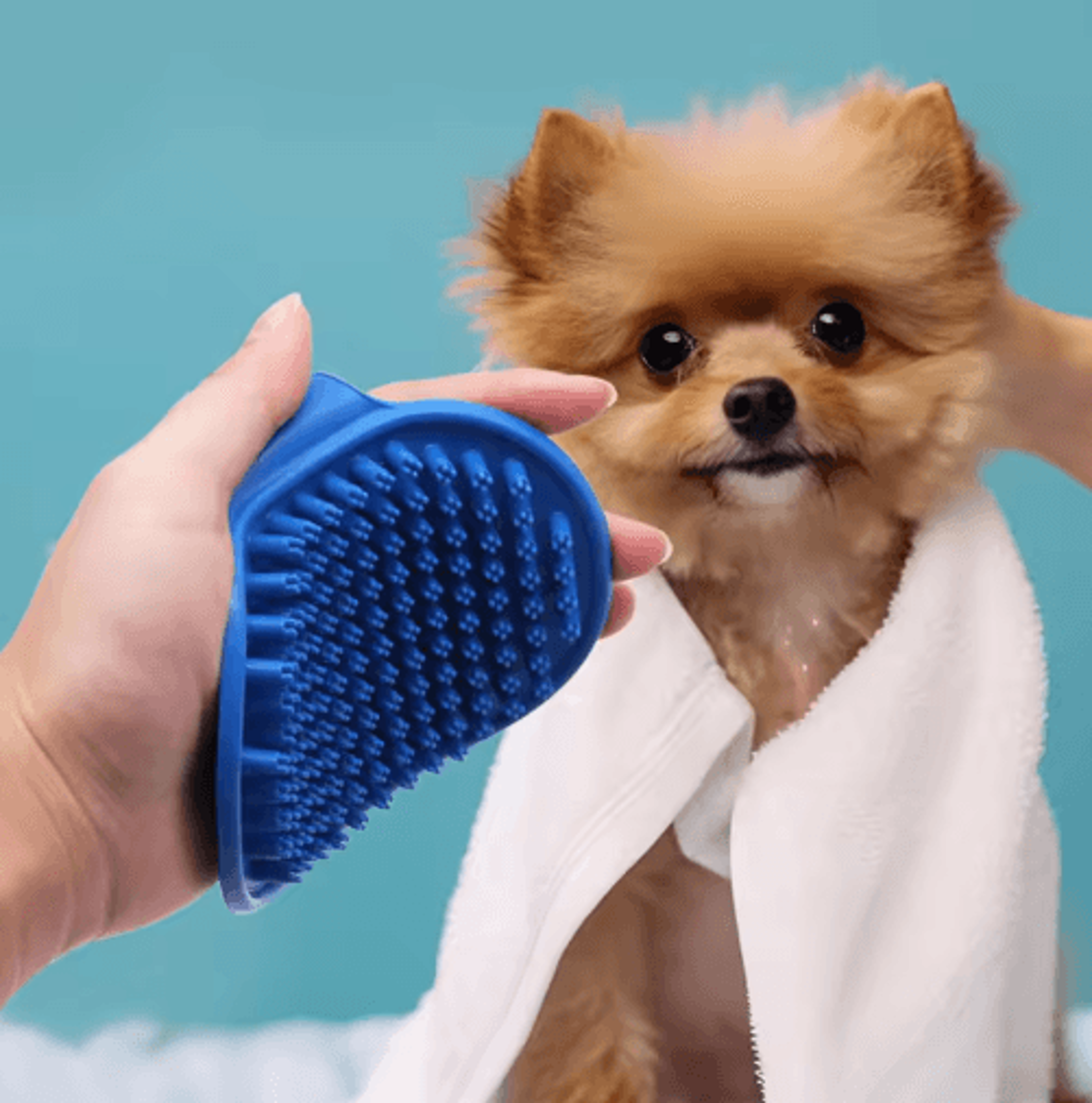 Pet Grooming Bath Brush  Rubber Bristle Shedding  Massage Comb For Cats  Dogs 5