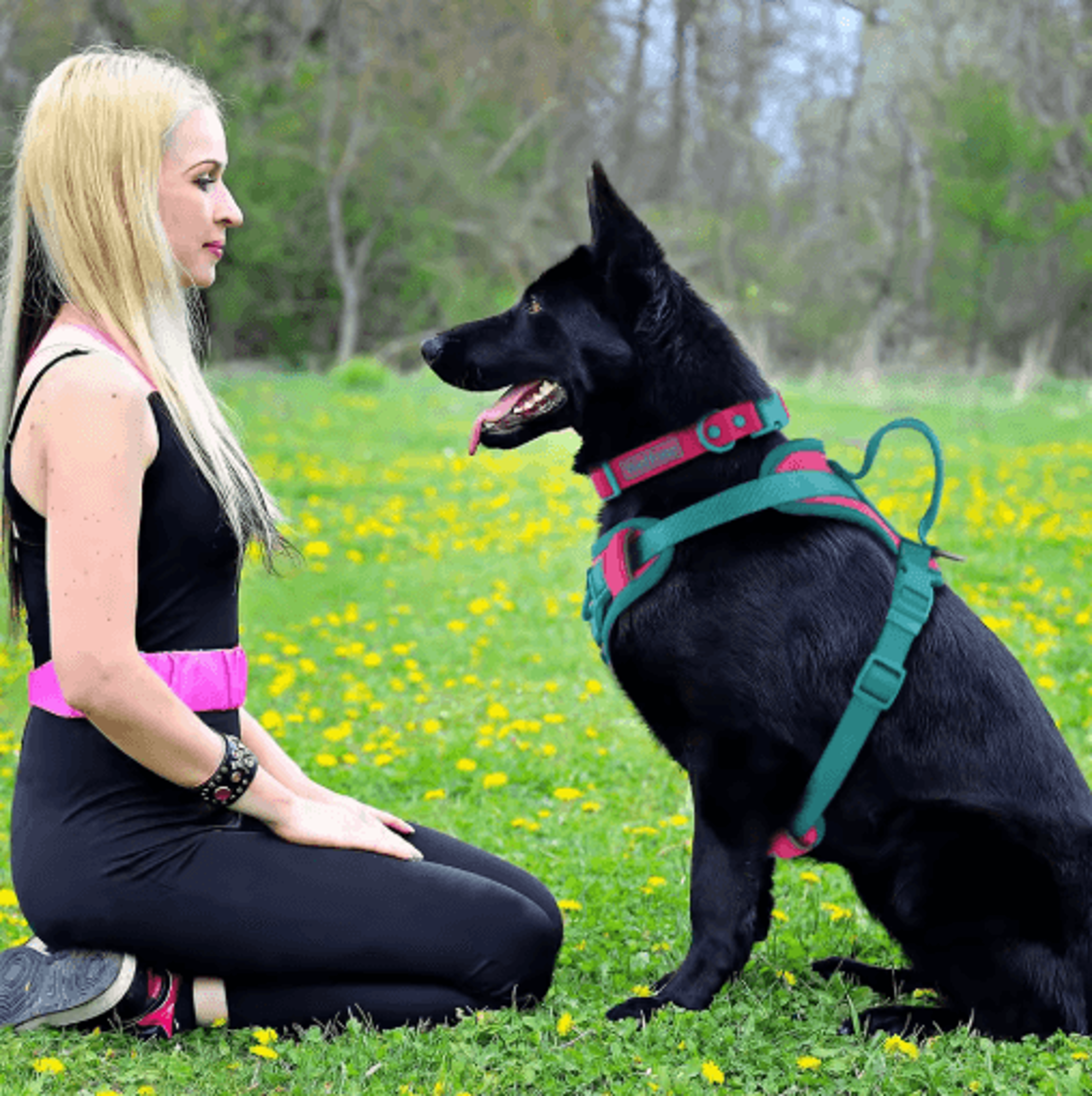 Breathable No Pull Dog Harness  Adjustable Personalized Chest Strap For Small  Large Dogs 10