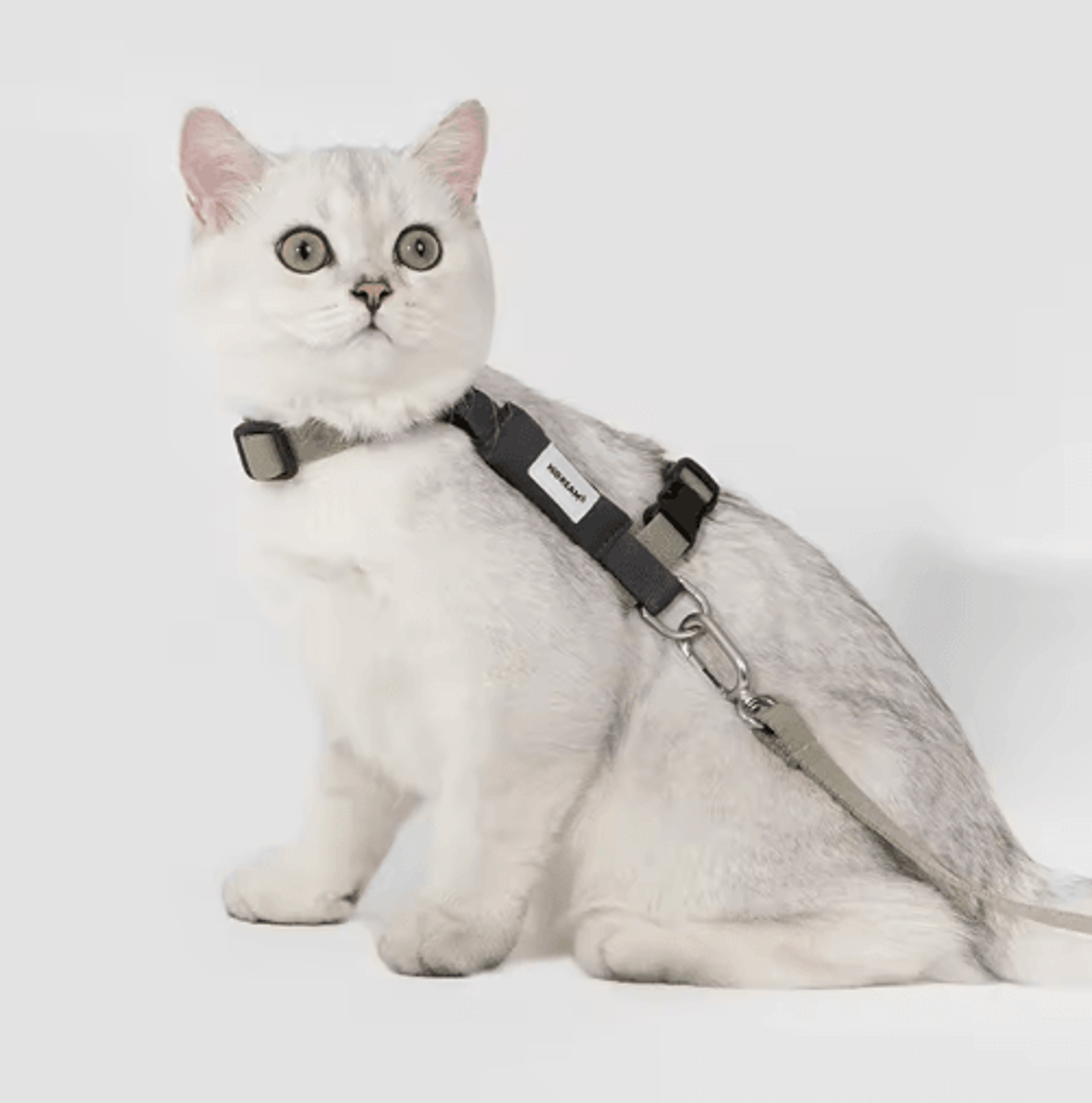 Breathable Cat Harness  Leash Set  Adjustable Outdoor Vest For Cats Kittens  Small Pets 4