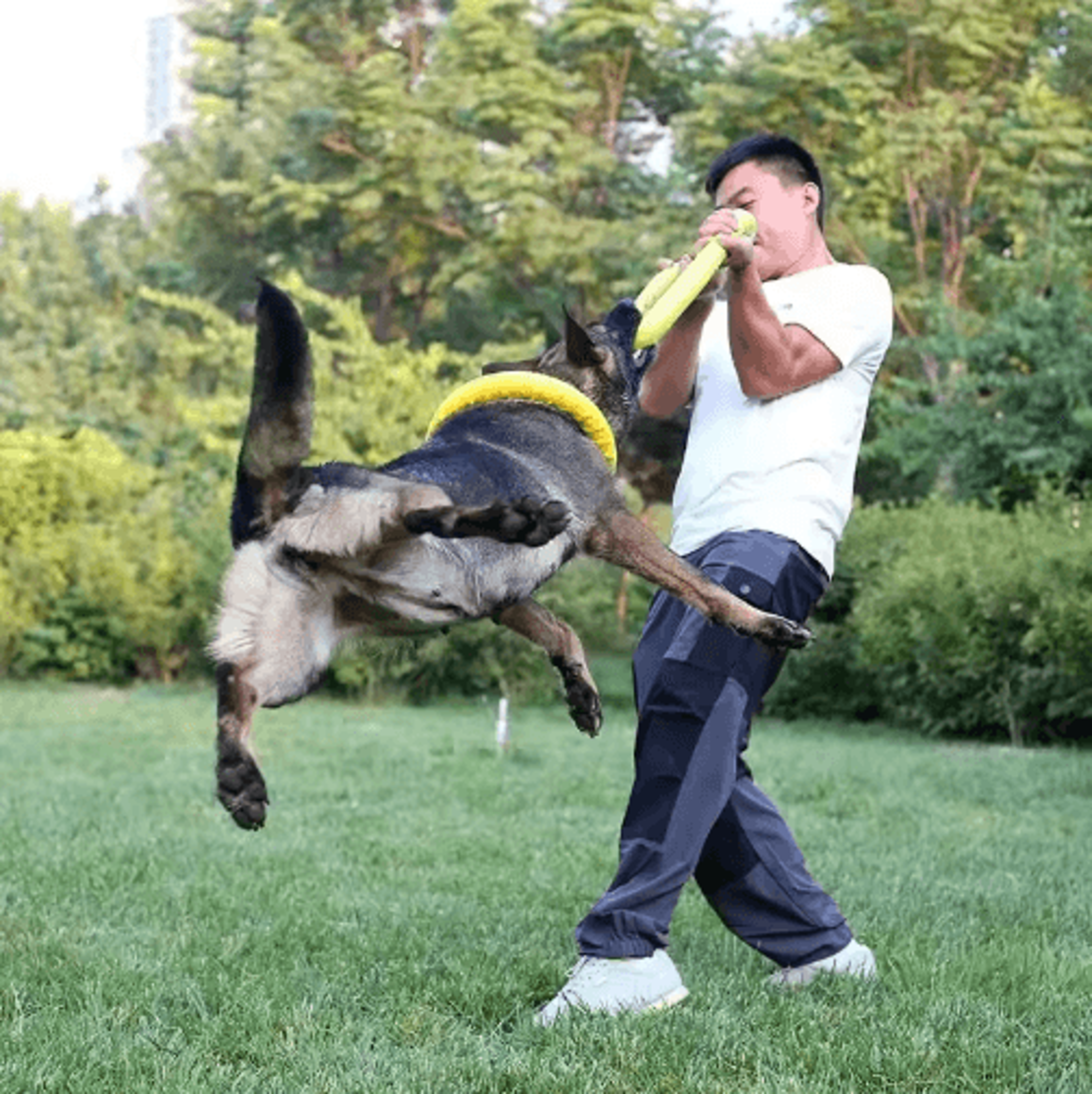 Interactive EVA Dog Flying Disc  Floating Training Ring Toy 9