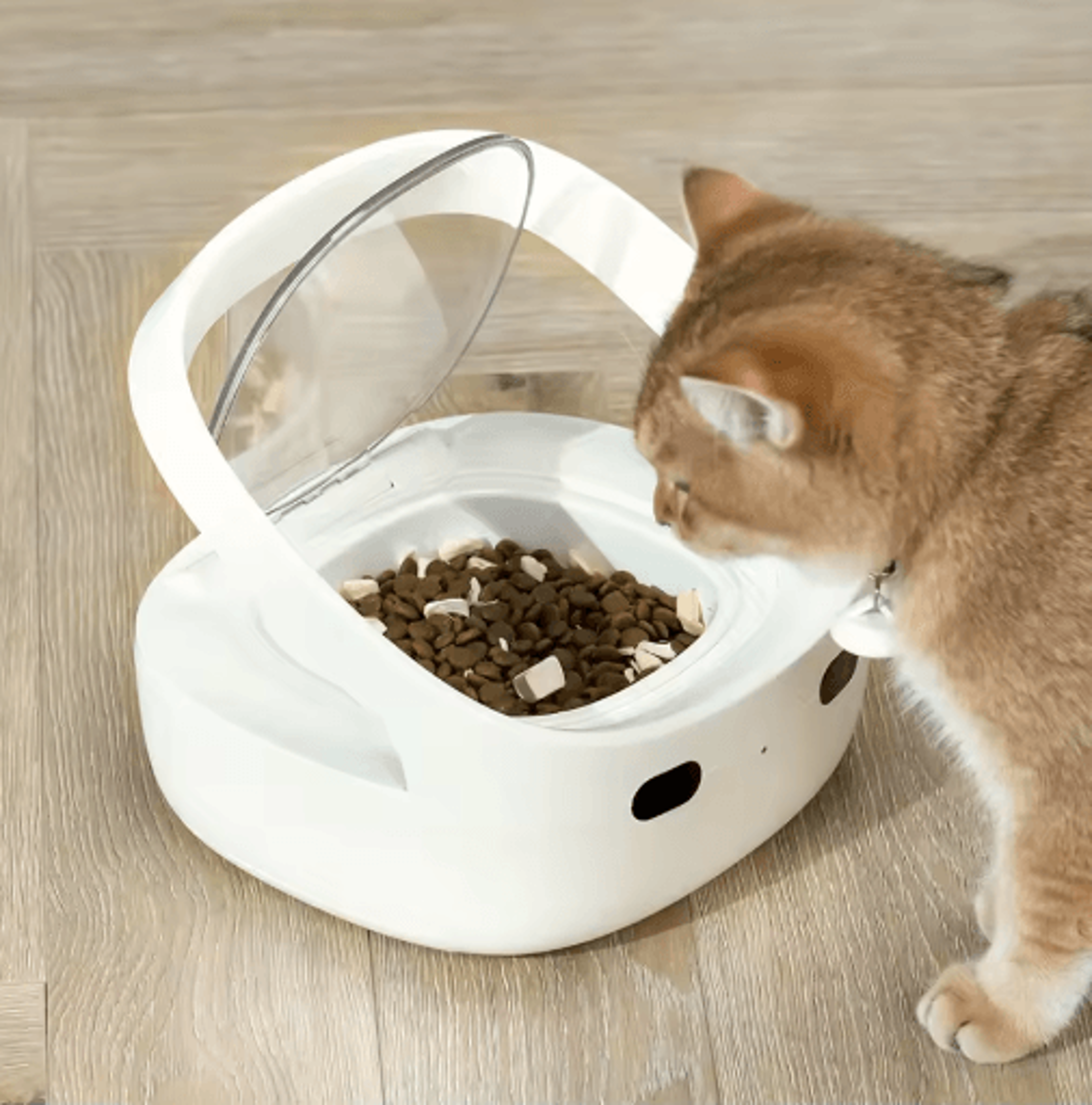 Petoneer NutriCare Smart Automatic Pet Feeder For MultiPet Homes 2