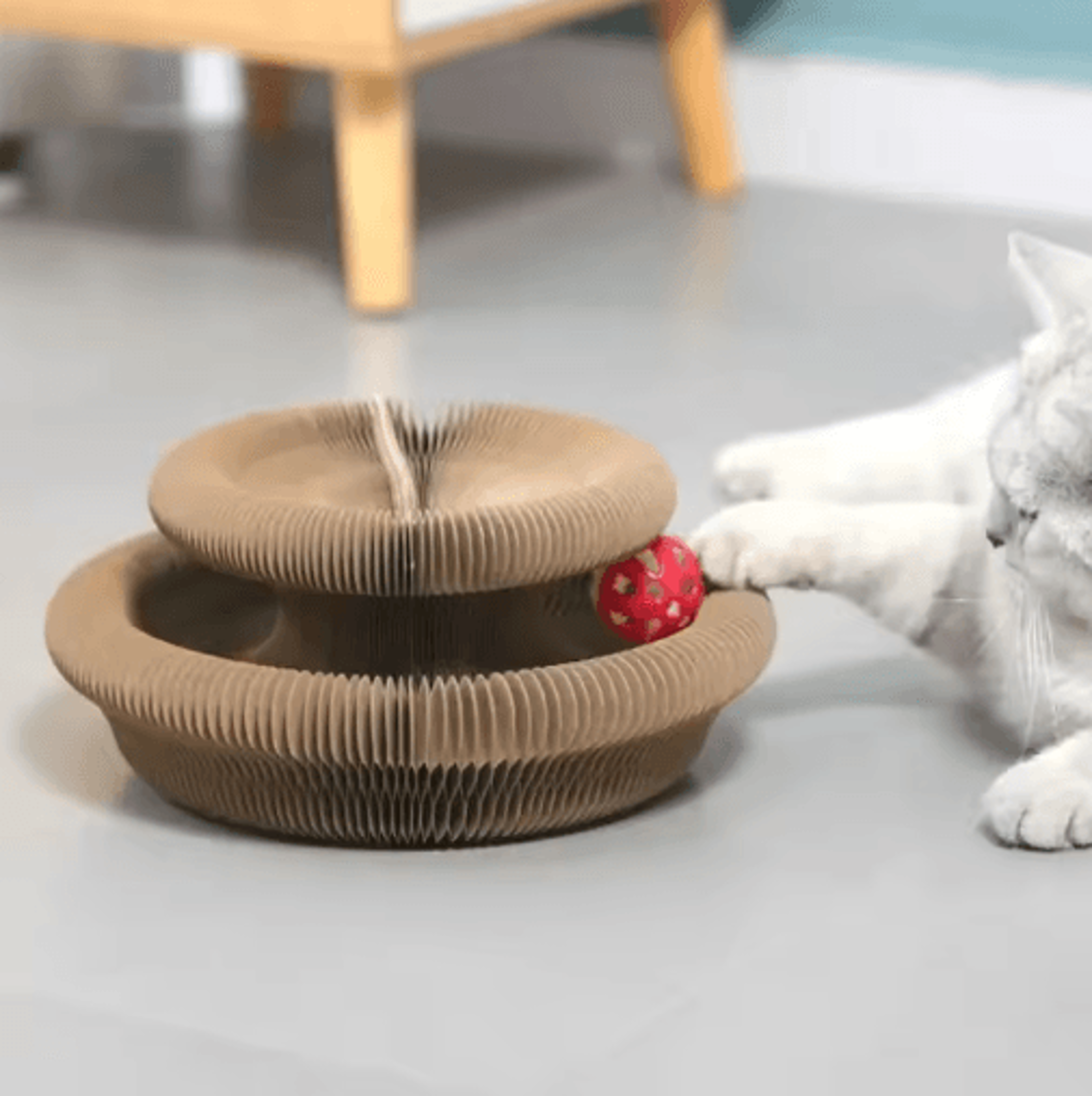 Accordion Magic Organ Cat Scratching Board With Interactive Ball Toy 3