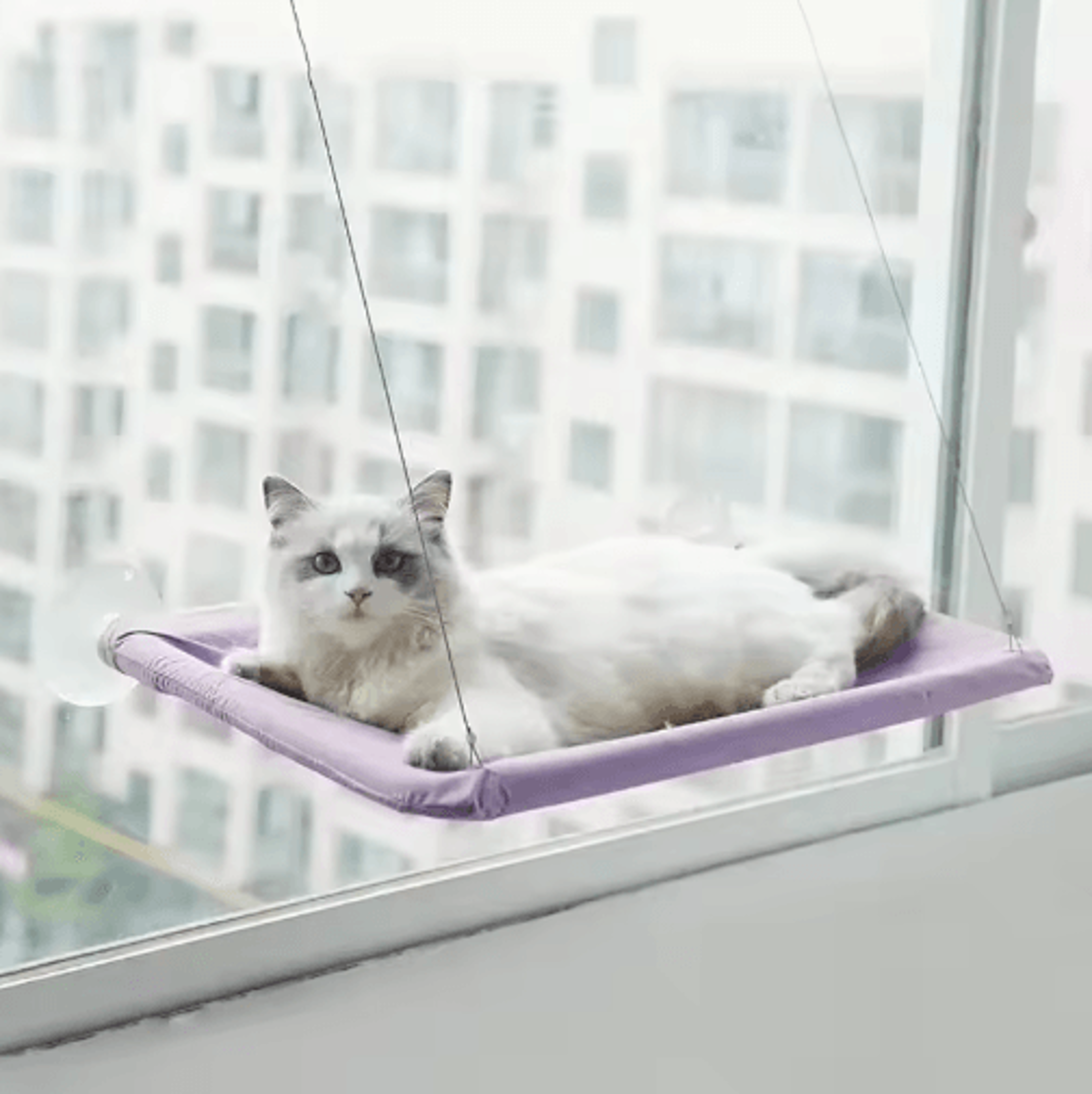 UltraSoft CloudLike Cat Window Hammock Bed For Indoor Cats 1