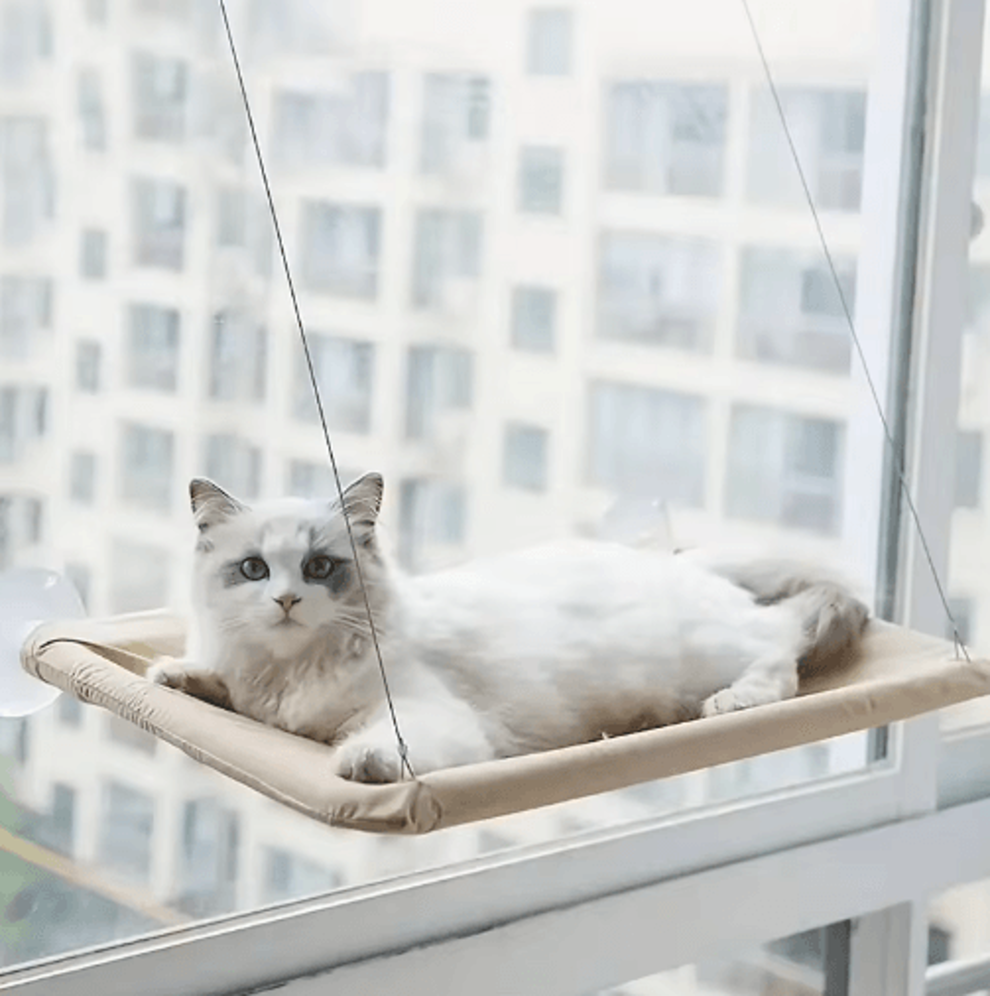 UltraSoft CloudLike Cat Window Hammock Bed For Indoor Cats 0