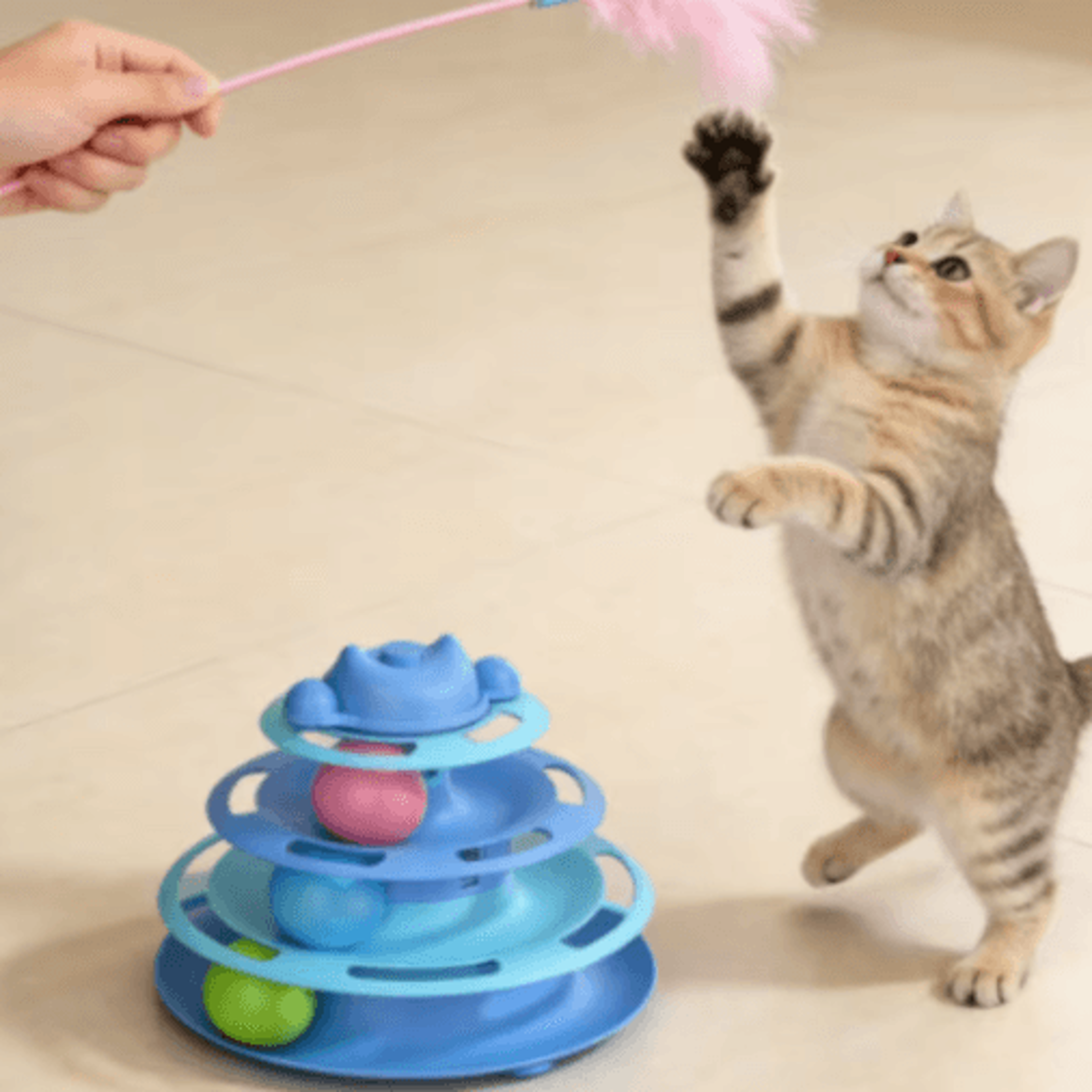 4Layer Interactive Cat Turntable Toy With Feather  Ball Track 7