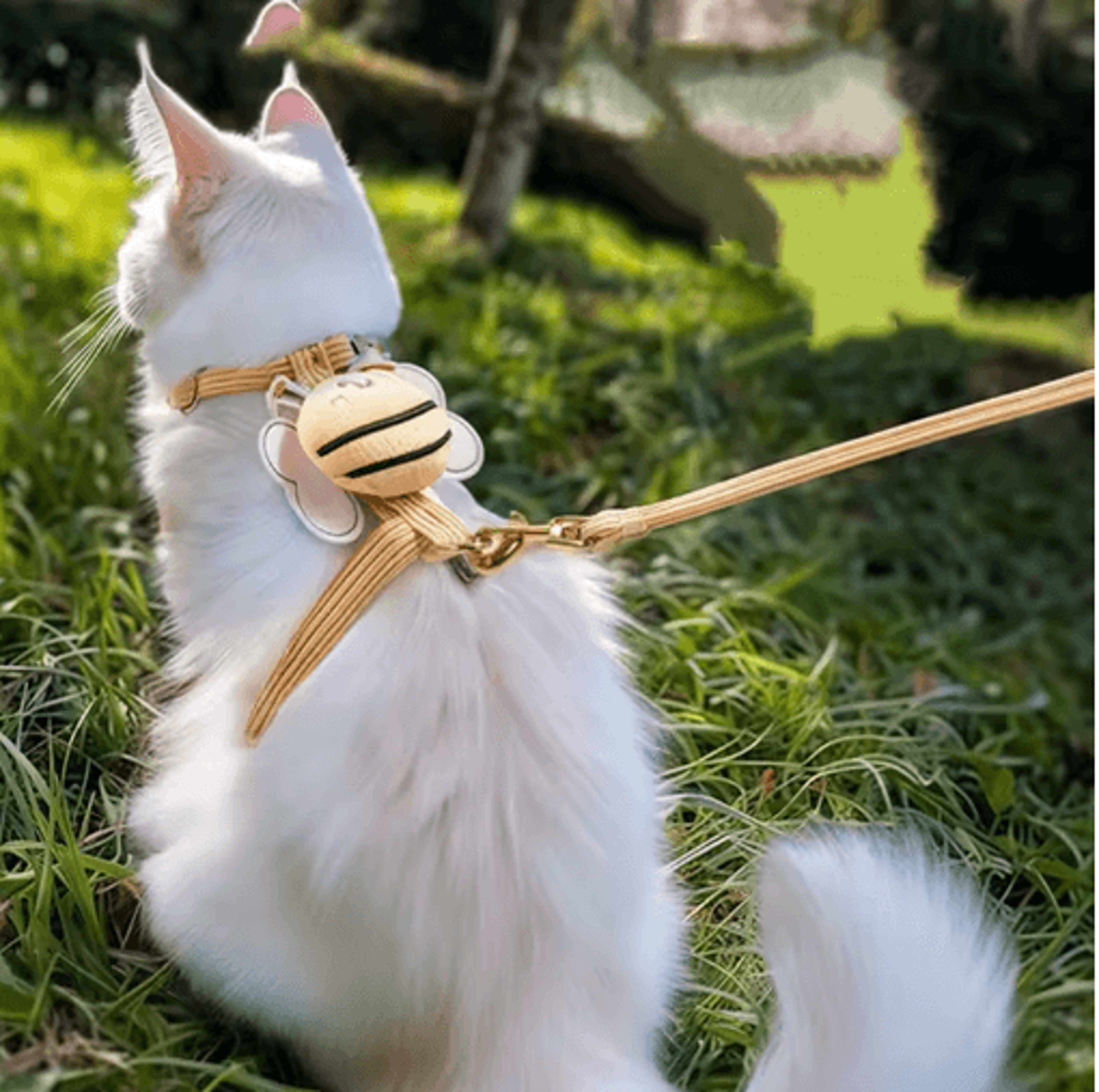 Adjustable Comfortable Cat  Puppy Harness Leash Set 5