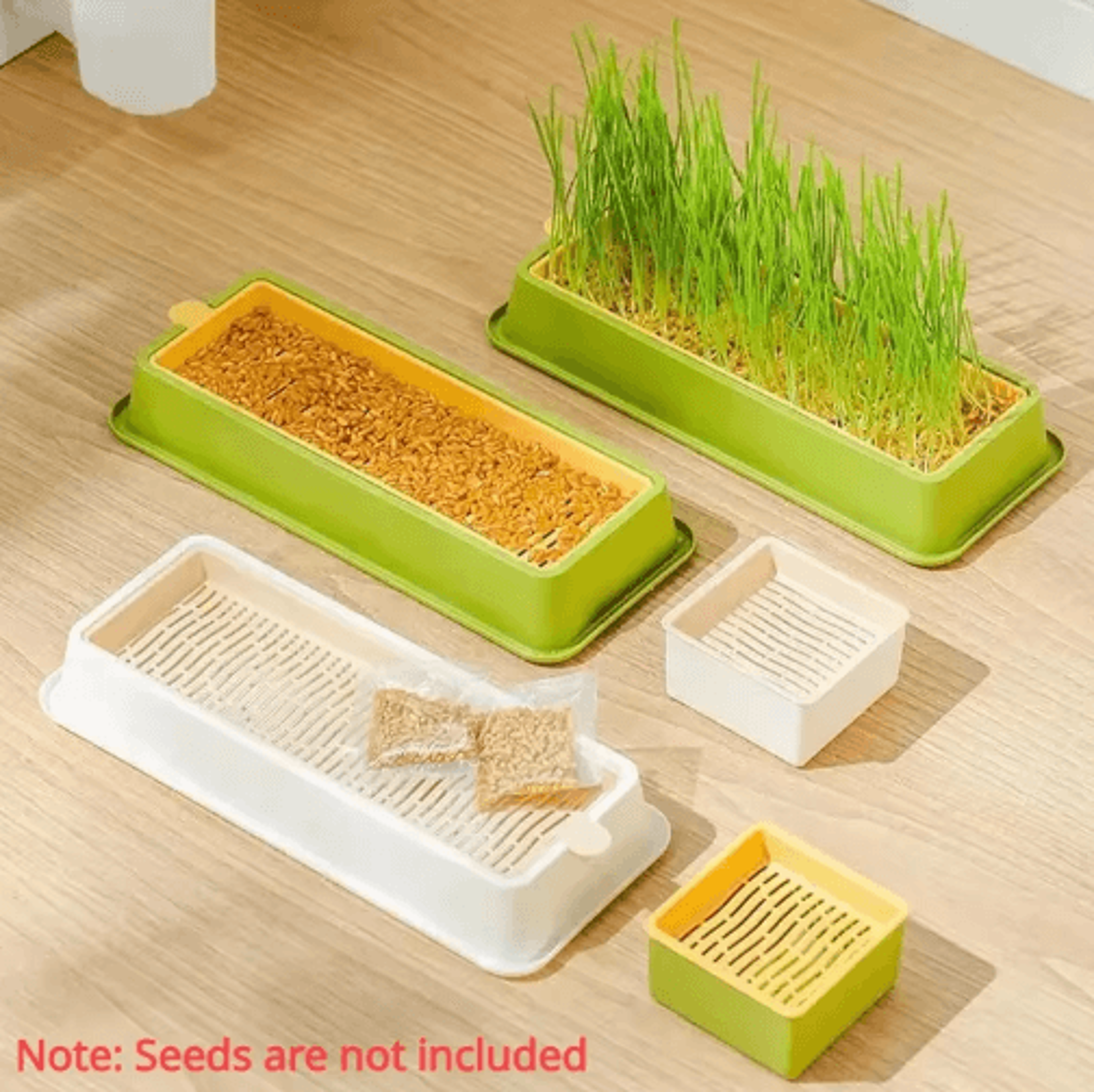 Layered Soilless Cat Grass Growing Kit With Seed Germination Tray 0