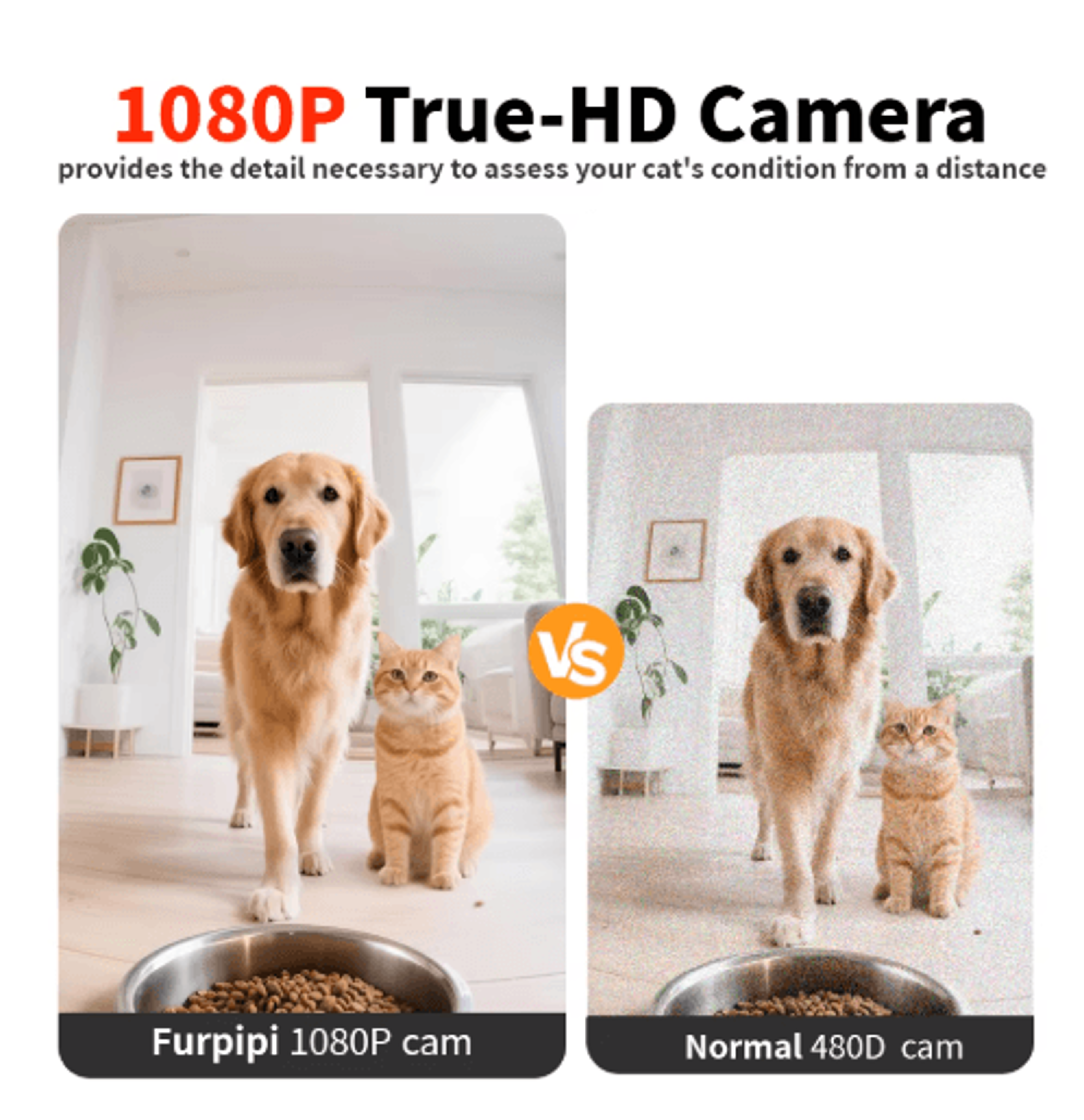 Furpipi Smart Automatic Pet Feeder With 1080P HD Camera  App Control 10