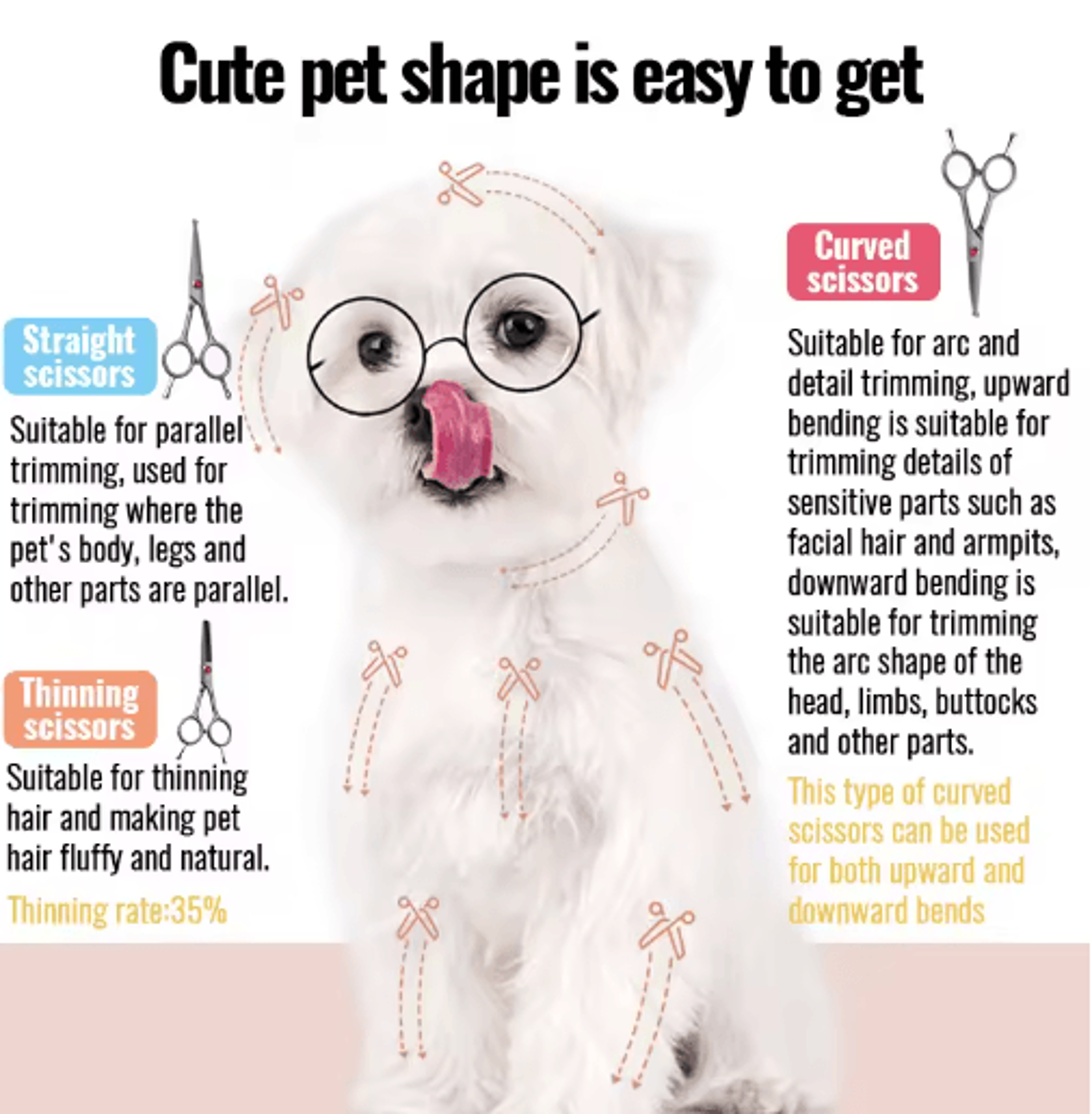 Fenice Professional Round Tip Pet Grooming Scissors  Safe Trimming Tool For Eyes Face  Paws 9