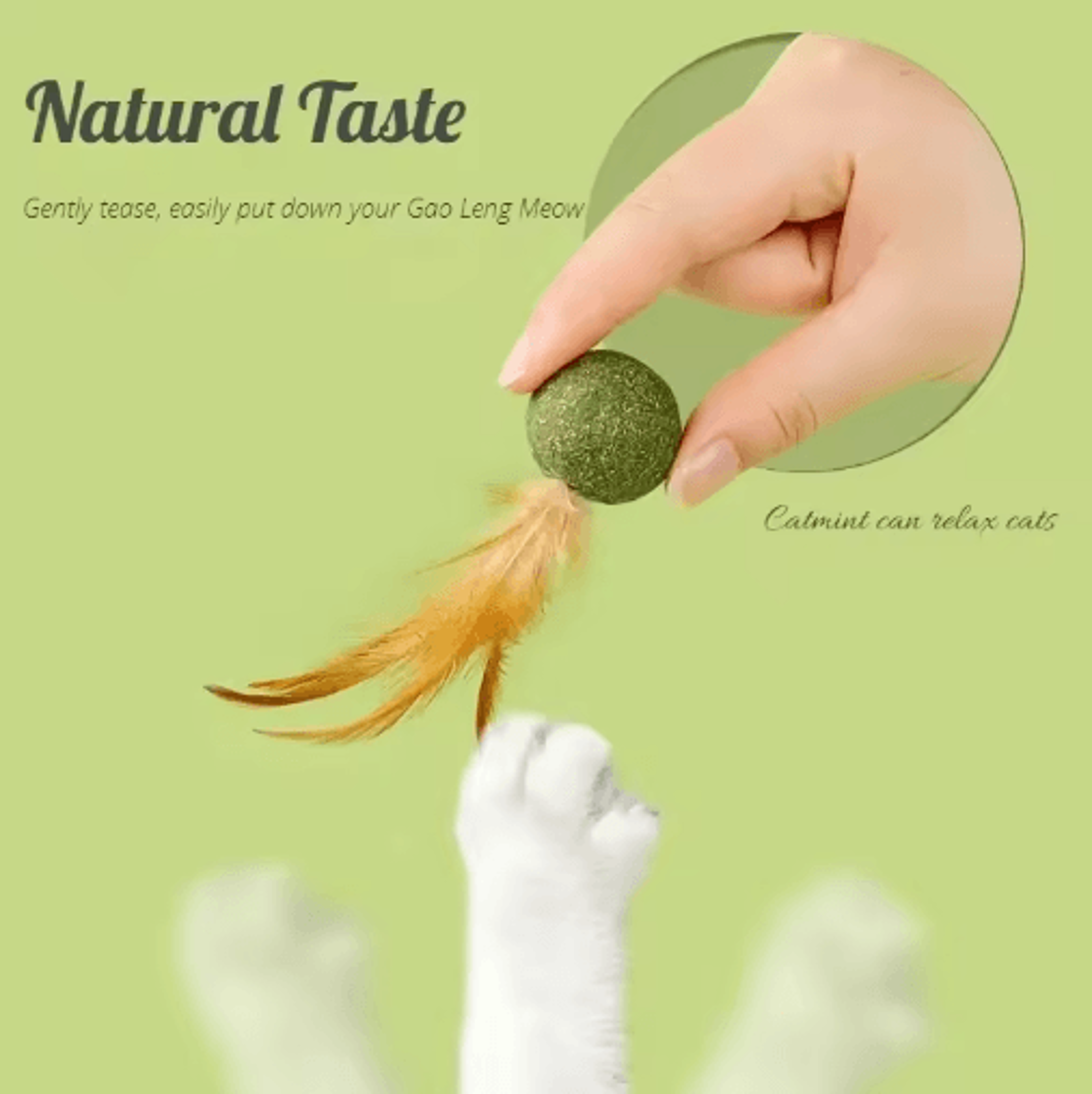 MintyPaws Edible Catnip Ball Toy Interactive Dental  Chasing Treat For Cats 8